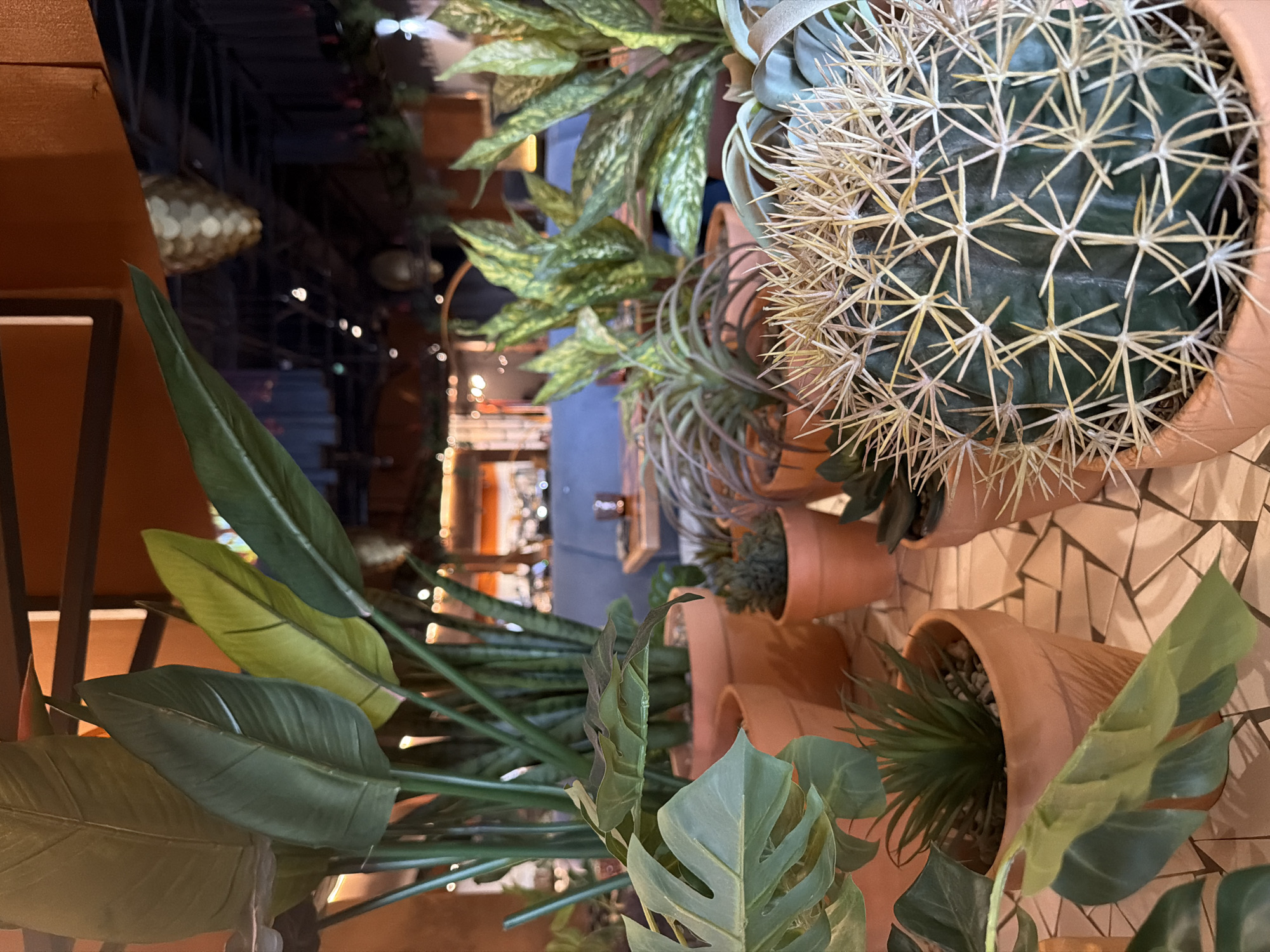 A still life shot exhibits potted plants against a partially visible urban backdrop, presumably within the city of Tyumen, Russia. The plants, arranged at varying heights, dominate the foreground, filling the frame with lush greenery and textured forms. The plants are potted in terracotta pots. A notable cactus displays prominent spines. Behind the plants, an interior space is dimly visible, showing hints of lights and shapes. The background suggests an urban environment, potentially a restaurant or public space.