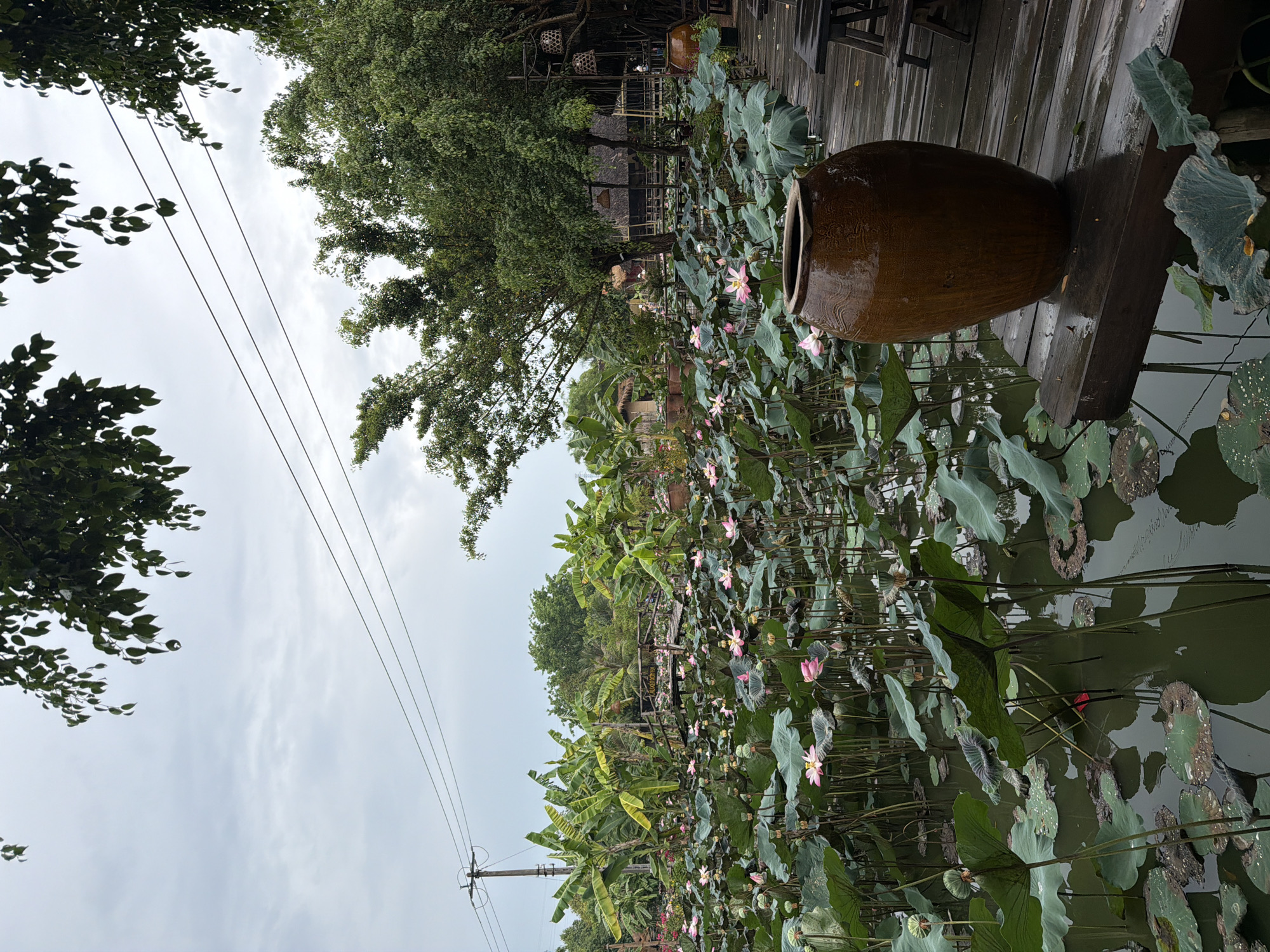 The image shows a lotus pond in Nam Nha Trang Ward, Vietnam, viewed at an oblique angle. The pond is filled with lotus plants, many with pink flowers in bloom. A large brown ceramic pot sits on a wooden platform extending over the water. The platform appears to be part of a boardwalk or deck. In the background, lush vegetation includes trees and banana plants. Utility poles with power lines are visible against a cloudy sky. Some structures resembling thatched roofs are also present in the distance. The scene suggests a tranquil, cultivated landscape.