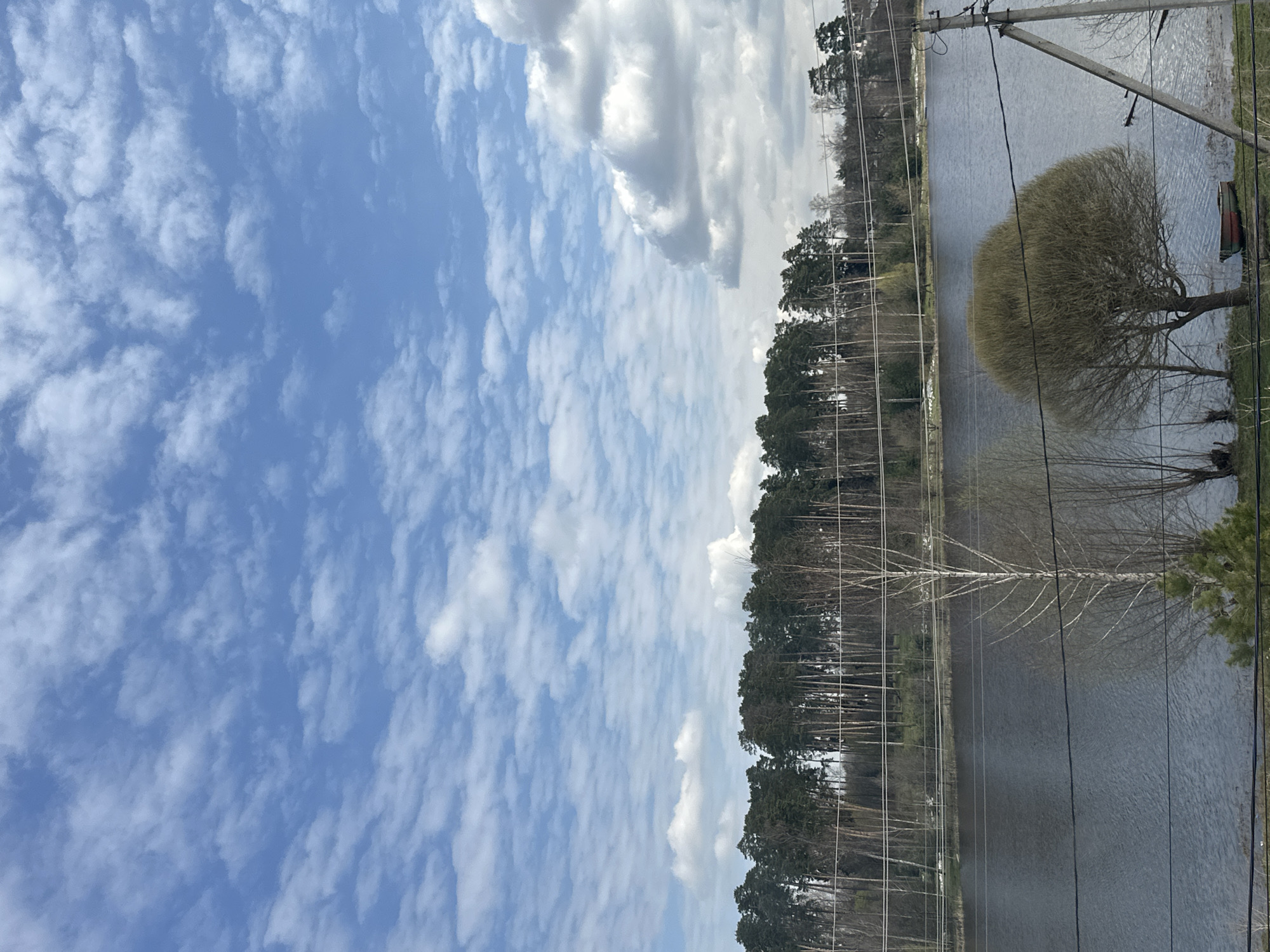 The image shows a view of a body of water, possibly a lake or wide river, bordered by a dense line of trees. In the foreground, power lines stretch across the scene. A large, round-shaped tree stands prominently along the shore. The sky occupies a significant portion of the image and is filled with a mix of blue and scattered white clouds. It is most likely shot from a tall building or high ground. It is слобода Старая, Russia.