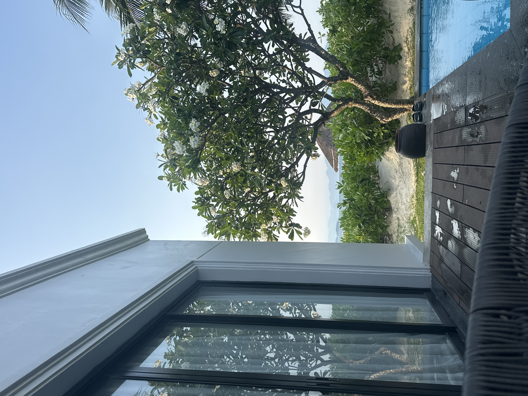 The image shows an outdoor scene, likely a resort or upscale property, in an unknown city. A building with a white facade and a large window with curtains dominates the lower portion of the frame. The window reflects foliage and sky. Adjacent to the building is a wooden deck leading to a pool.
A flowering tree with white blossoms is prominent in the center of the image, framing a view of a sandy beach, ocean, and distant mountains. A large, dark-colored pot and a pair of sandals sit on the deck near the tree. The environment appears sunny and tropical.