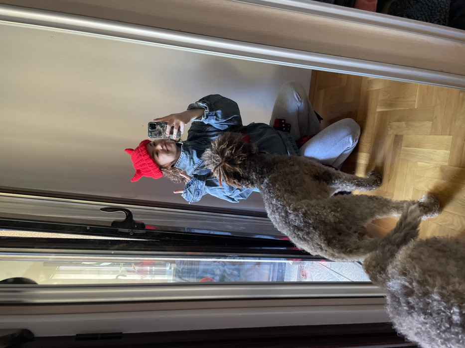 This image depicts an indoor scene in Boreti, Montenegro. A young female is captured in a mirror selfie, kneeling on her right knee. She wears a red knitted hat with two small horns, a light blue denim jacket over a dark high-collared shirt, and light grey sweatpants, with a red and black plaid garment visible around her waist. She holds a dark-cased smartphone in her right hand to take the picture, while her left hand forms a "peace" gesture. Her expression is a slight smile. In the foreground, a medium-sized, curly-haired dog of light brown or greyish hue stands on a light brown parquet floor, facing away from the camera and towards the female's reflection. The dog wears a red collar. To the left, a vertical panel with a dark handle reflects parts of the room or an area beyond. The background in the mirror is a plain, light-colored wall.