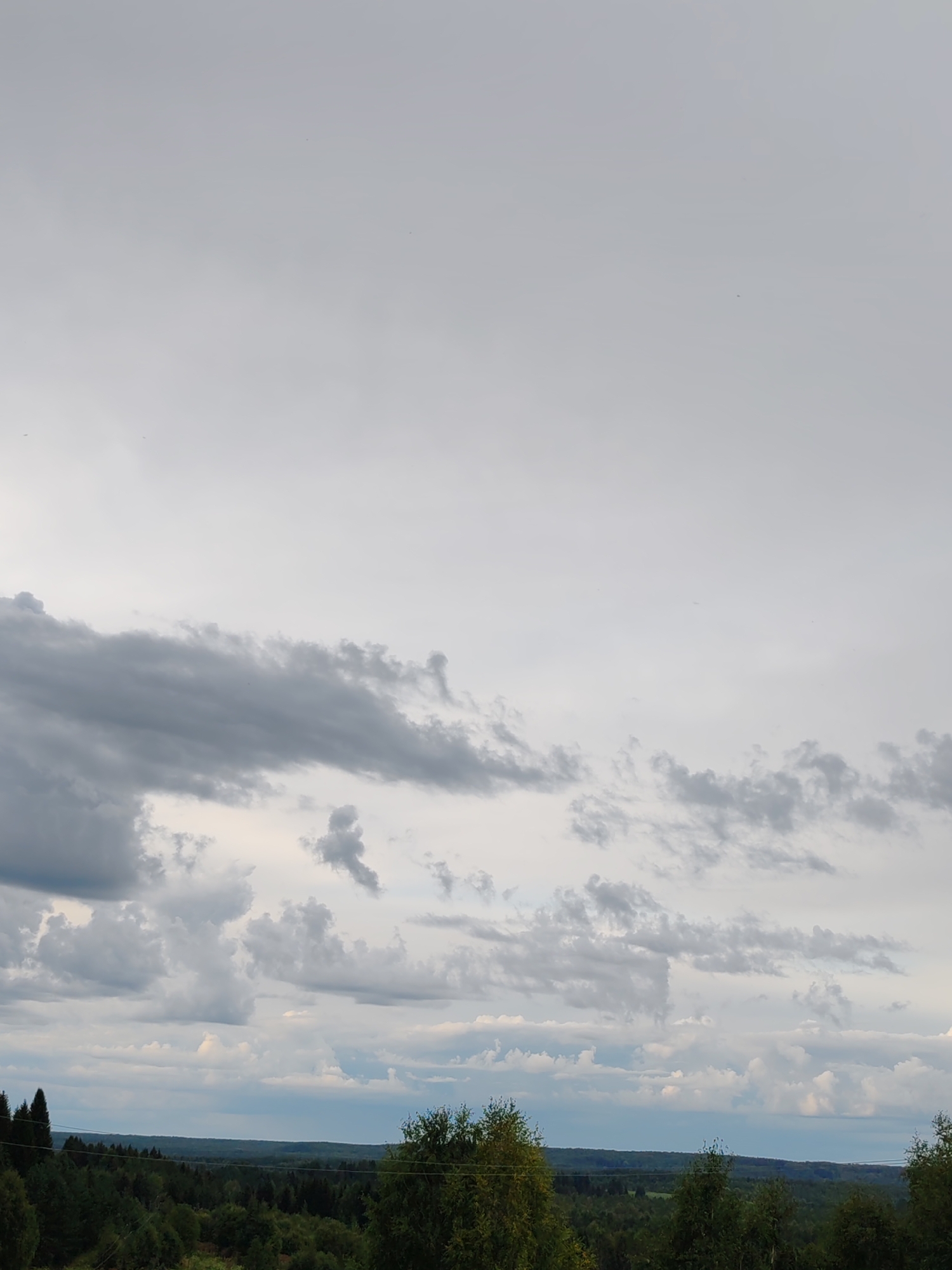 The image depicts a panoramic view of a rural landscape under a cloudy sky. The foreground is dominated by a dense forest with a mix of coniferous and deciduous trees. A few scattered trees with lighter foliage, possibly birch trees, are visible in the mid-ground, along with a hint of green fields. The horizon line is marked by a distant forest line and rolling hills. The sky is filled with a variety of clouds, ranging from dark, heavy formations to lighter, wispy ones. The overall impression is that of an overcast day in a natural, undeveloped area. The location is identified as Chuchlyom, Russia, suggesting a region in the Russian countryside. There are no people or man-made structures prominently featured in the image, reinforcing the natural and rural character of the scene.