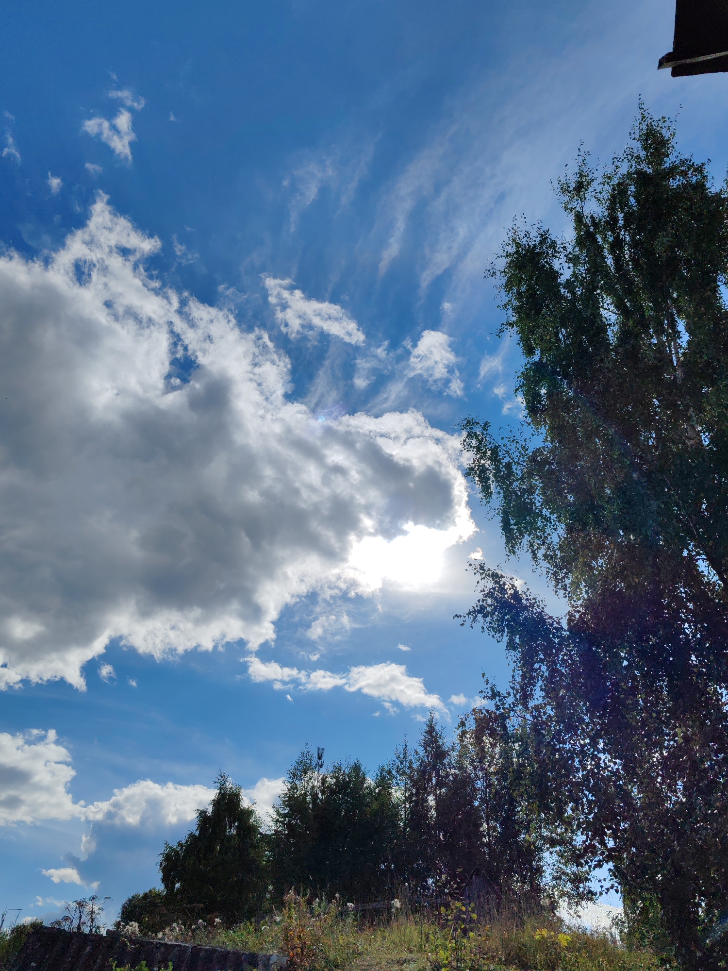 The image depicts a bright, sunny day with a vivid blue sky filled with scattered white clouds. The sun is shining brightly, almost directly overhead, creating lens flare and illuminating the scene. In the foreground, a line of trees with dark green foliage stretches across the lower portion of the frame. The trees appear to be of mixed species, with some taller and denser than others. The ground below the trees is covered with dry grass and some wild plants. A dark, rough surface, possibly a wall or embankment, is visible at the very bottom of the image. The upper right corner shows a dark, angled object which might be part of a roof or building structure. The overall impression is of an outdoor natural landscape under a clear sky with intermittent cloud cover. The location is identified as Чухлэм, Russia.