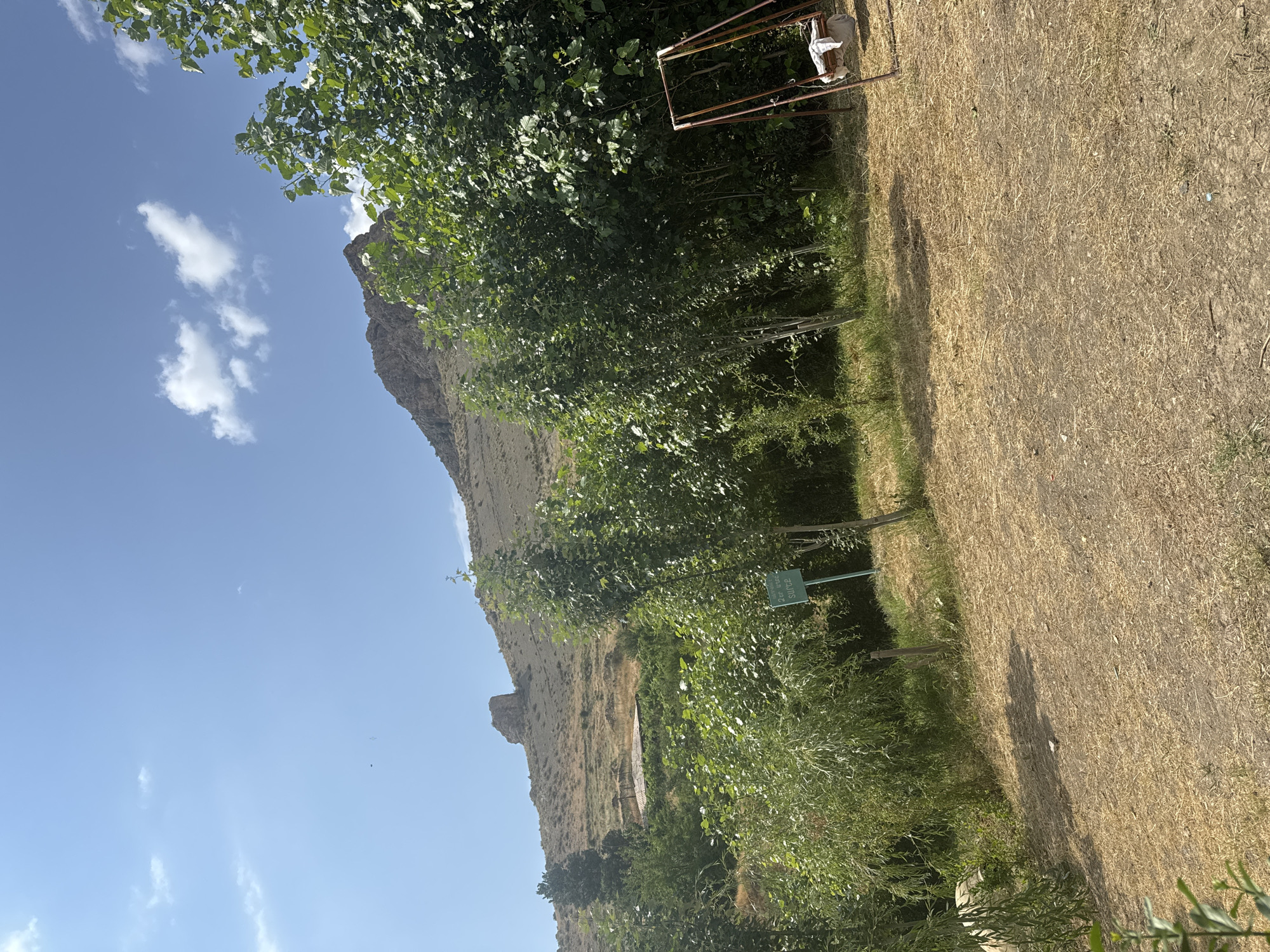 The image captures a scene in Malishka, Armenia. In the foreground, dry, golden grass covers the ground. To the right, a rusty metal swing set stands, with a white cloth draped over one of the seats. Behind the swing set, a dense wall of lush green trees dominates the midground. Further back, more vegetation and trees are visible, with a light green signpost peeking through. Beyond the trees, a steep, arid hillside rises, marked by terraces and scattered rocks. A distinctive, large rock formation juts out from the hillside near the top. The sky above is a clear, bright blue with a few scattered white clouds.