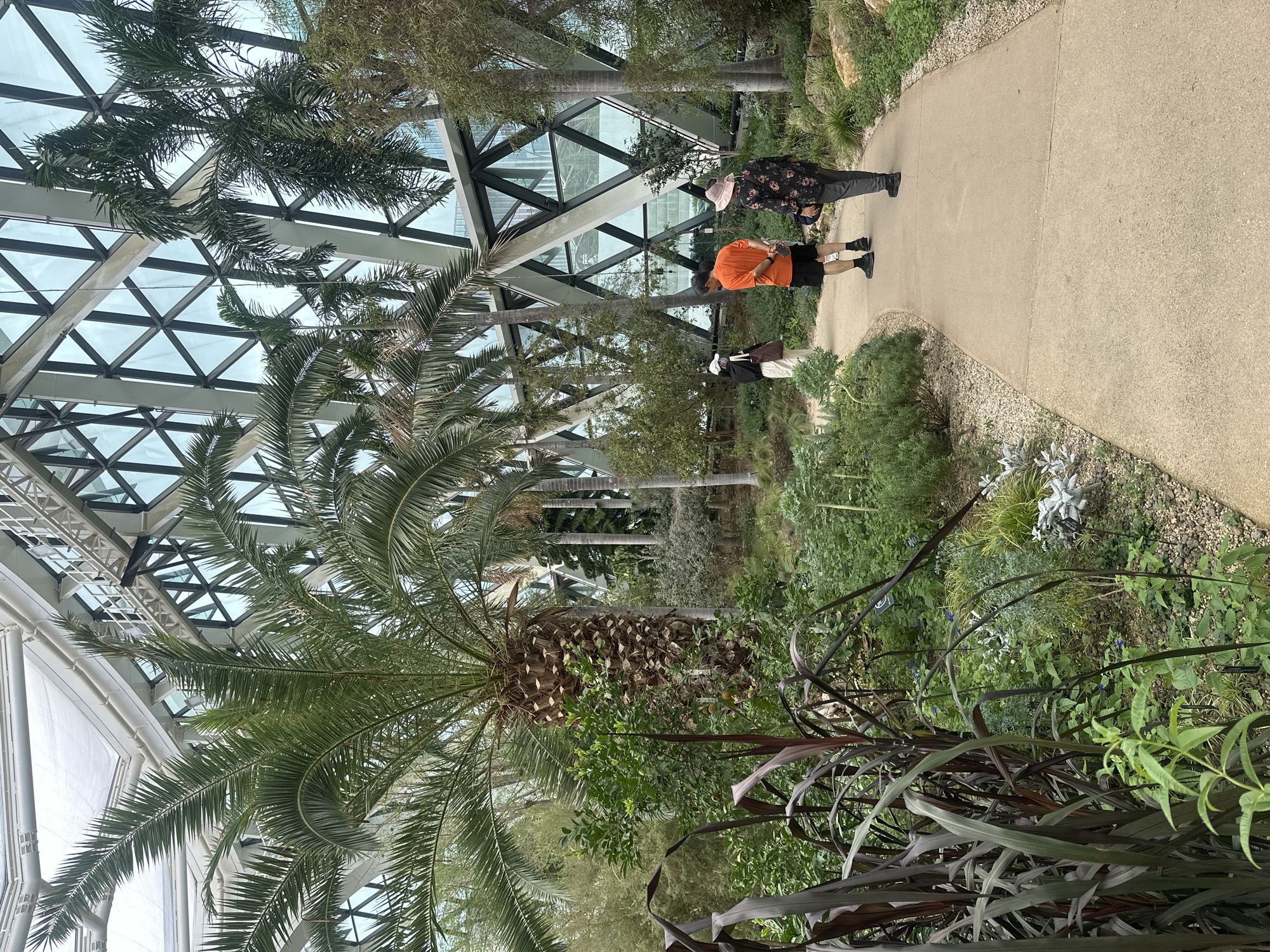 An outdoor path winds through a lush botanical garden under a geodesic dome structure with a glass ceiling. Several people are visible walking along the path, with one individual in an orange shirt and black shorts, another in a floral print shirt and dark pants, and a third person in a light-colored outfit. The garden features a variety of plants, including tall palm trees, dark-leaved grasses, and various flowering plants. The geometric pattern of the dome's exterior is visible in the background, reflecting the sky. This scene is located within the Seoul Botanic Park in Seoul, South Korea.