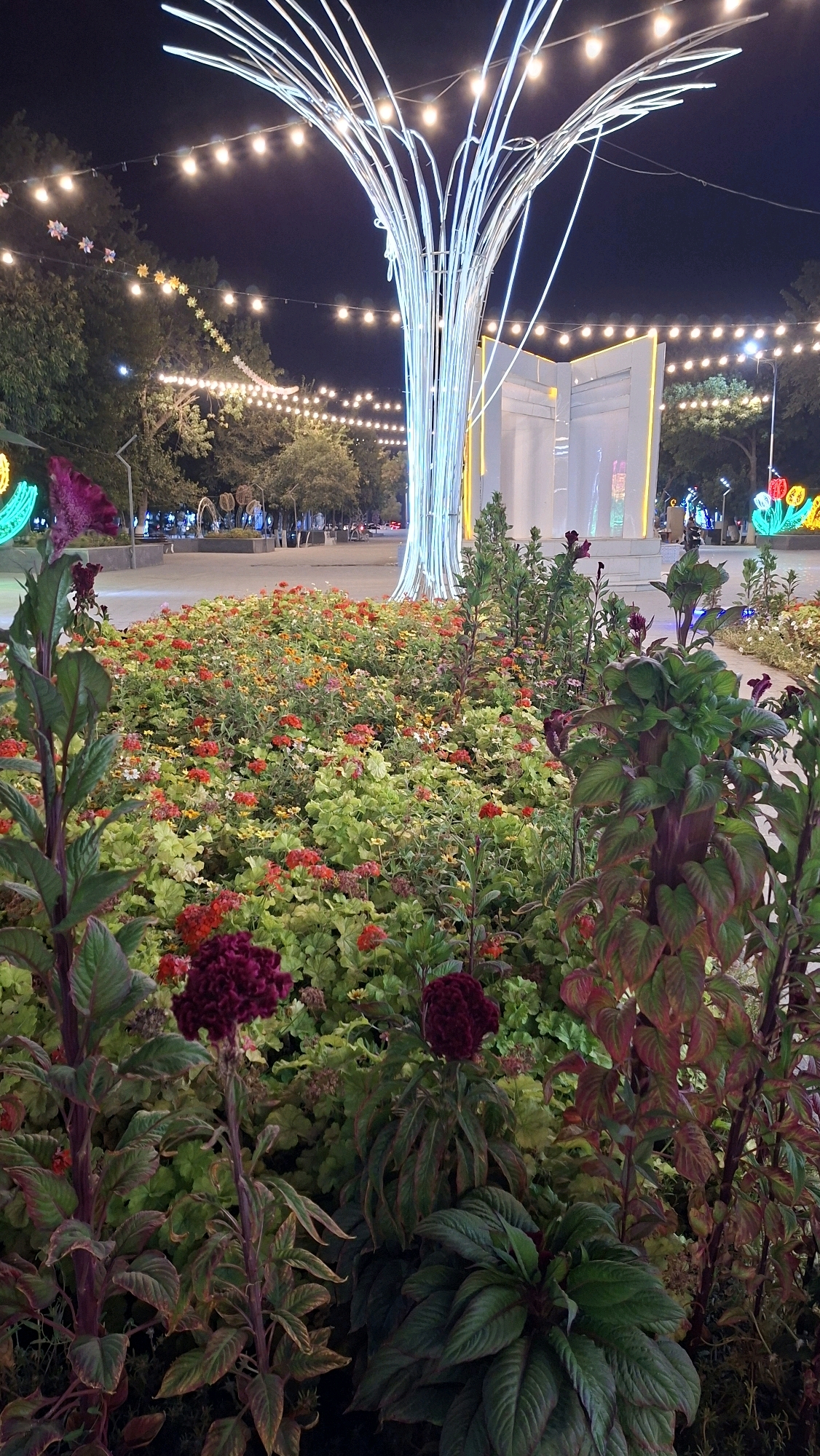 The image captures an outdoor night scene in Navoiy City, Uzbekistan, featuring a public space adorned with festive lighting and floral arrangements. Dominating the center of the frame is a large, abstract sculpture resembling a tree, constructed from white, luminous tubes. The sculpture is illuminated from within and surrounded by numerous strings of warm-toned fairy lights that stretch across the background, creating a festive ambiance.
In the foreground, a dense bed of flowers is visible, showcasing a vibrant mix of red, yellow, and green hues. Several plants with deep red, velvety flower heads are prominent, along with smaller red and yellow blossoms interspersed with lush green foliage.
Behind the sculpture, a modern, white architectural structure resembling an open book or a portal is also illuminated. The background suggests a park or a public square, with trees lining pathways and other decorative lights visible in the distance. The overall impression is one of a well-maintained urban space decorated for an event or celebration. No people are clearly discernible in the foreground, though a few indistinct figures can be seen further in the background, suggesting the presence of visitors in the park. The ground appears to be paved, typical of a city promenade or plaza.