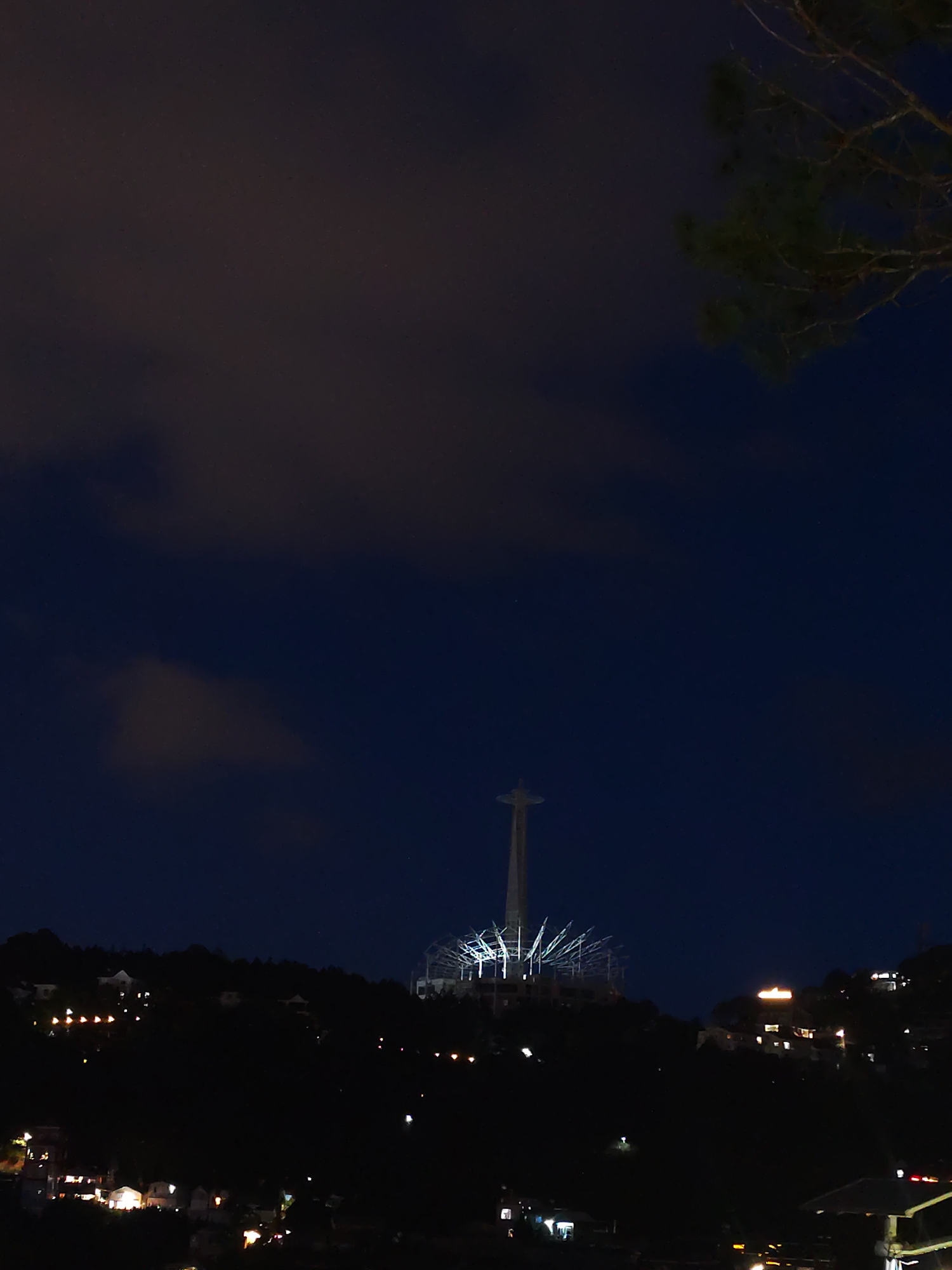 At night, a tower-like structure stands prominently above a dark, forested hillside in an unknown city. The structure, potentially undergoing construction or renovation, is surrounded by scaffolding or support beams that radiate outwards. The hillside is dotted with sporadic lights, possibly from houses or streetlights, which add a subtle glow to the shadowy terrain. The sky is a deep blue, tinged with patches of dark clouds, suggesting an overcast night. A tree branch appears in the upper right corner.