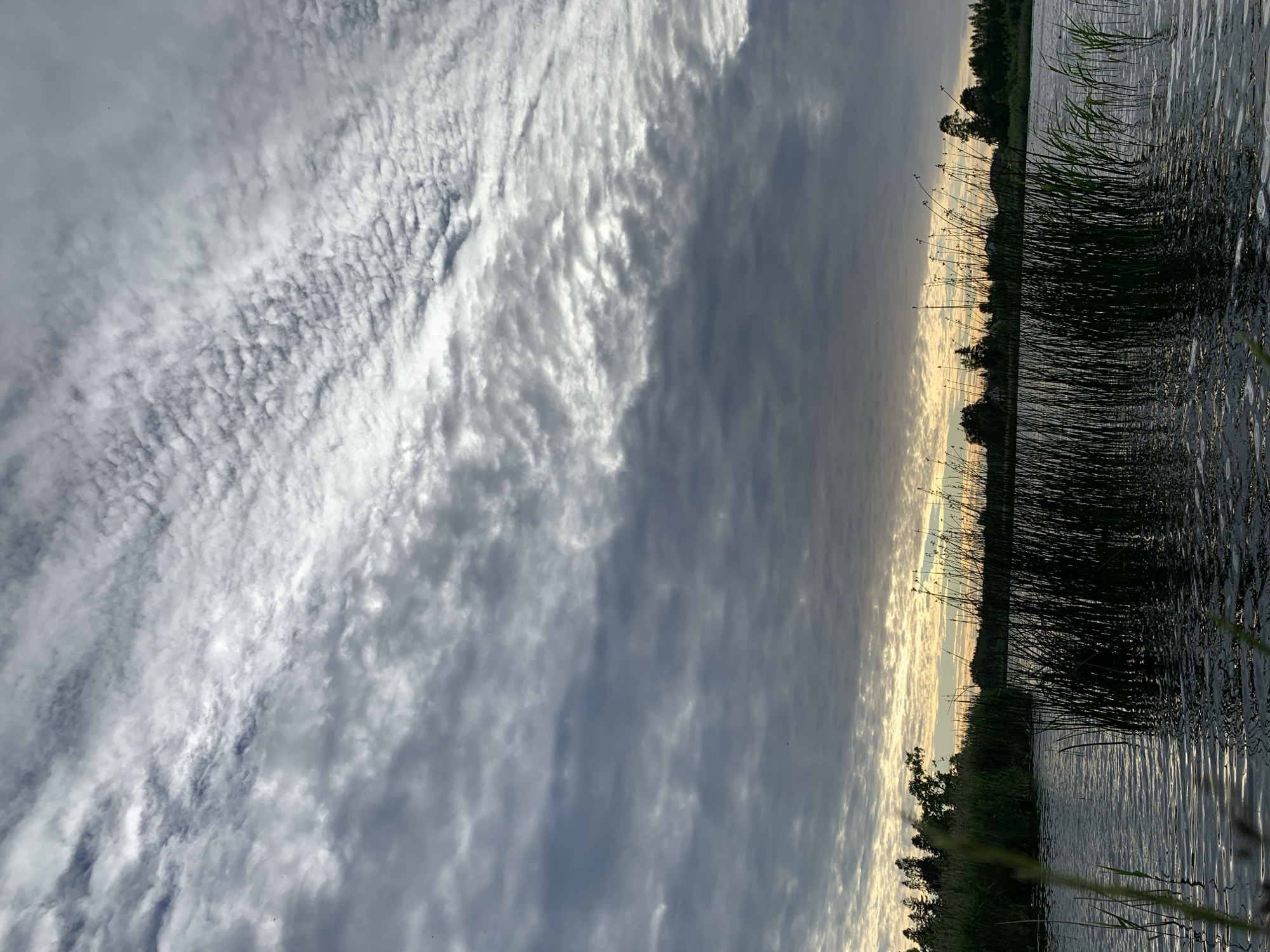 The image depicts a tranquil natural scene at dusk, likely in Chernovo, Russia. The sky is a canvas of dramatic clouds, transitioning from bright, textured white formations on the left to a darker, more diffused grey on the right. These clouds suggest the presence of varied atmospheric conditions, perhaps indicative of an approaching evening or a change in weather.
The lower half of the image is dominated by the reflective surface of a body of water, likely a lake or river. The water's surface is disturbed by ripples, catching the diminishing light and creating a shimmering effect. Along the edge of the water, a dense growth of tall, dark reeds and grasses creates a silhouetted border, with some individual blades catching the light.
In the distance, a tree line forms a dark silhouette against the horizon, separating the water and reeds from the sky. The setting sun casts a warm, diffused light along the horizon, visible as a soft glow between the clouds and the distant land, suggesting it is either sunrise or sunset. The overall mood is one of peaceful solitude, with the natural elements of sky, water, and vegetation creating a harmonious and serene landscape. No people, objects, or text are visible in the image.