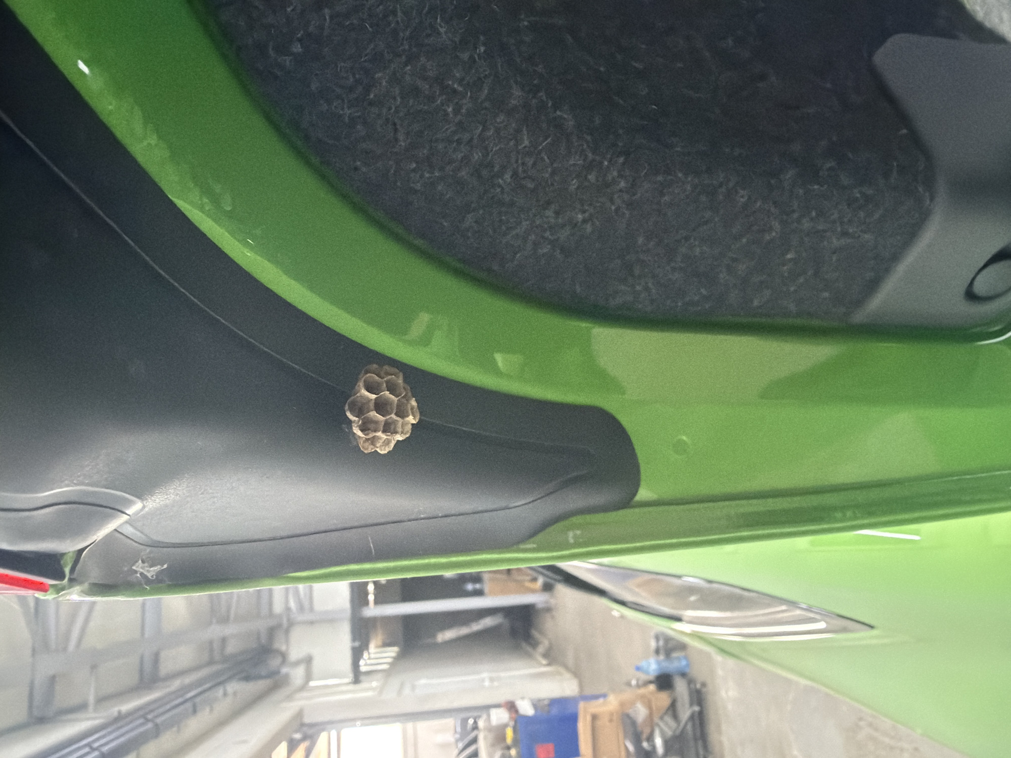 A low-angle, close-up shot reveals a small, tan wasp nest attached to the underside of a bright green car door. The car is parked in a garage, as indicated by the grey concrete walls and visible garage equipment. The nest is located on a black plastic panel beneath the green exterior. A section of dark grey carpet-like material is visible above.