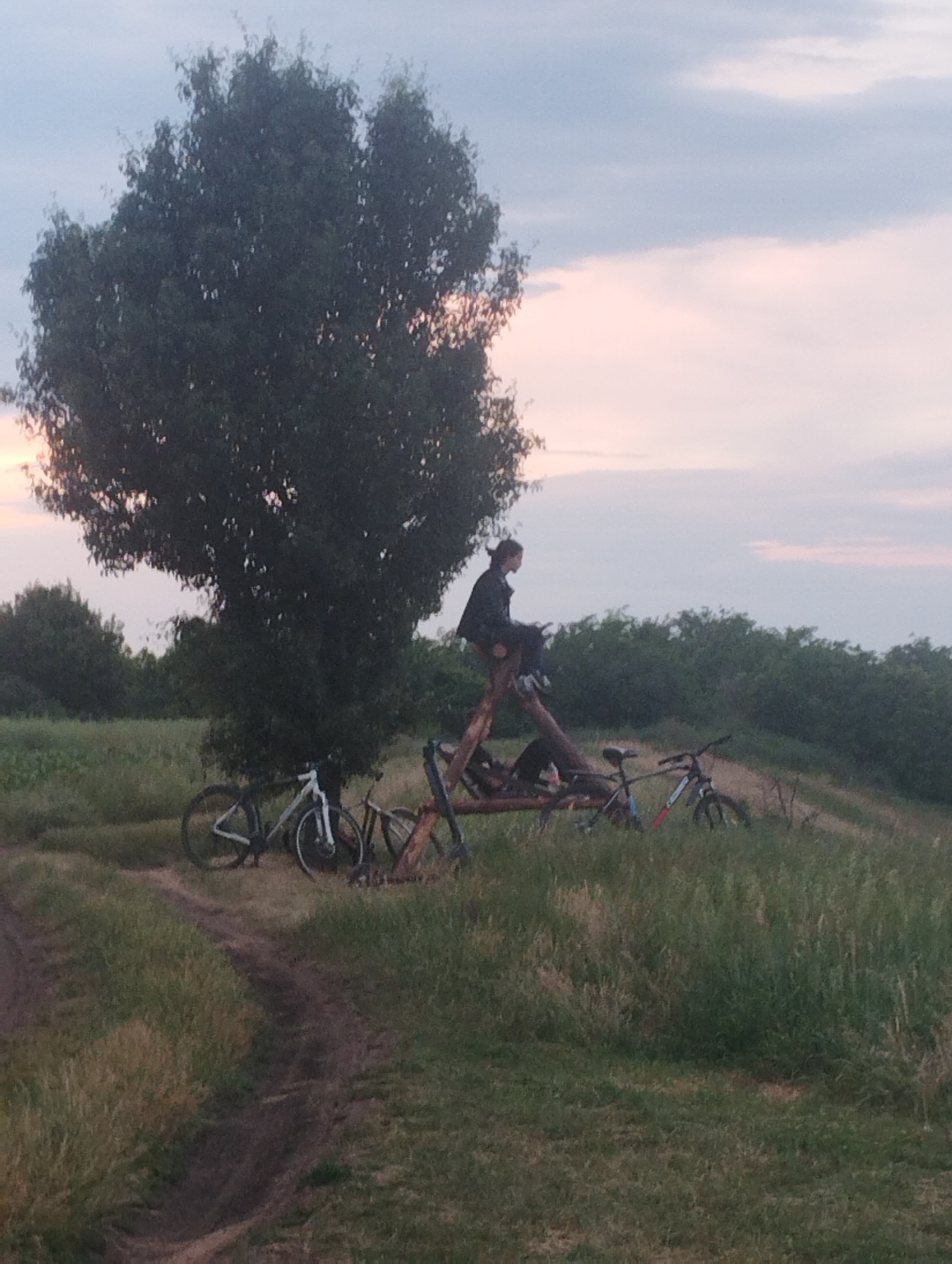 A young person sits on a wooden structure in a grassy, outdoor environment. The person is wearing a dark jacket and is looking to their right. Two bicycles are visible in the foreground, one white and one black with red accents. A large tree with dark green foliage is behind the wooden structure and the white bicycle. The background consists of a line of trees and a pale sky with hints of pink and orange, suggesting it is dusk. A dirt path curves through the grass.