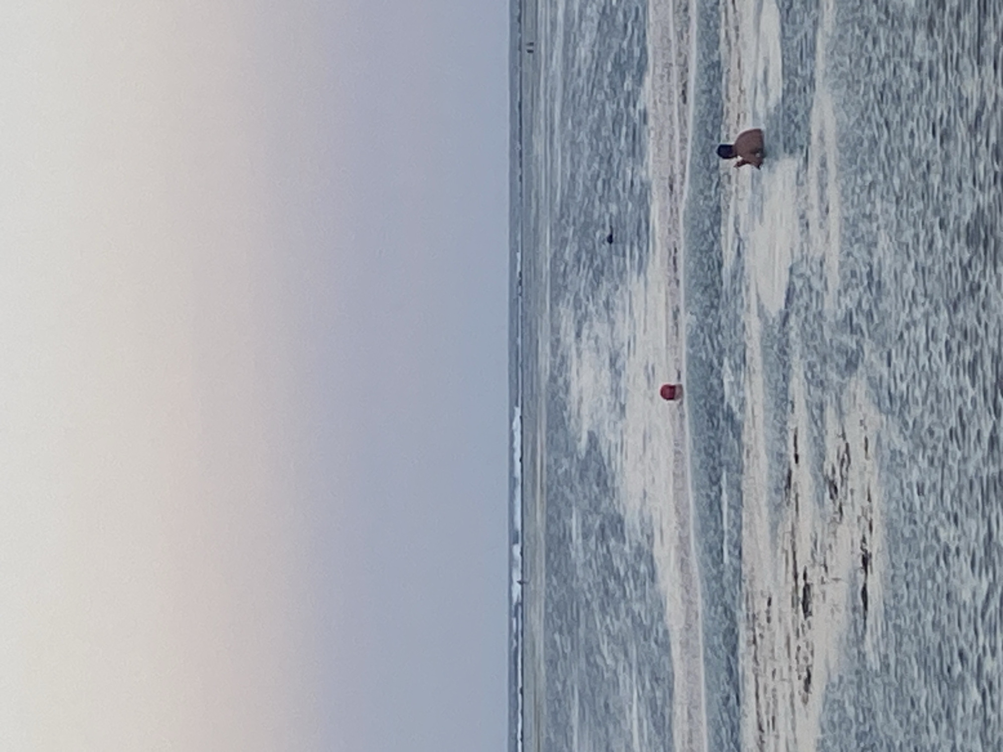 The image depicts a serene coastal scene at what appears to be dusk or dawn, characterized by a pastel gradient sky transitioning from pale yellow to soft blue. The calm ocean stretches to the horizon, with gentle waves breaking in the distance. Several small figures are visible in the water. In the foreground, a person is standing in shallow water, facing away from the camera. Further out, a red buoy is floating, and another dark shape, possibly a person or marine life, is visible in the middle ground. The water's surface is a mix of reflective light and darker submerged areas, suggesting a shallow, possibly sandy seabed. The overall atmosphere is tranquil and expansive. This scene is consistent with the coastal areas of Denpasar, Indonesia, known for its beaches and shallow waters, particularly during periods of low tide or calm seas.
