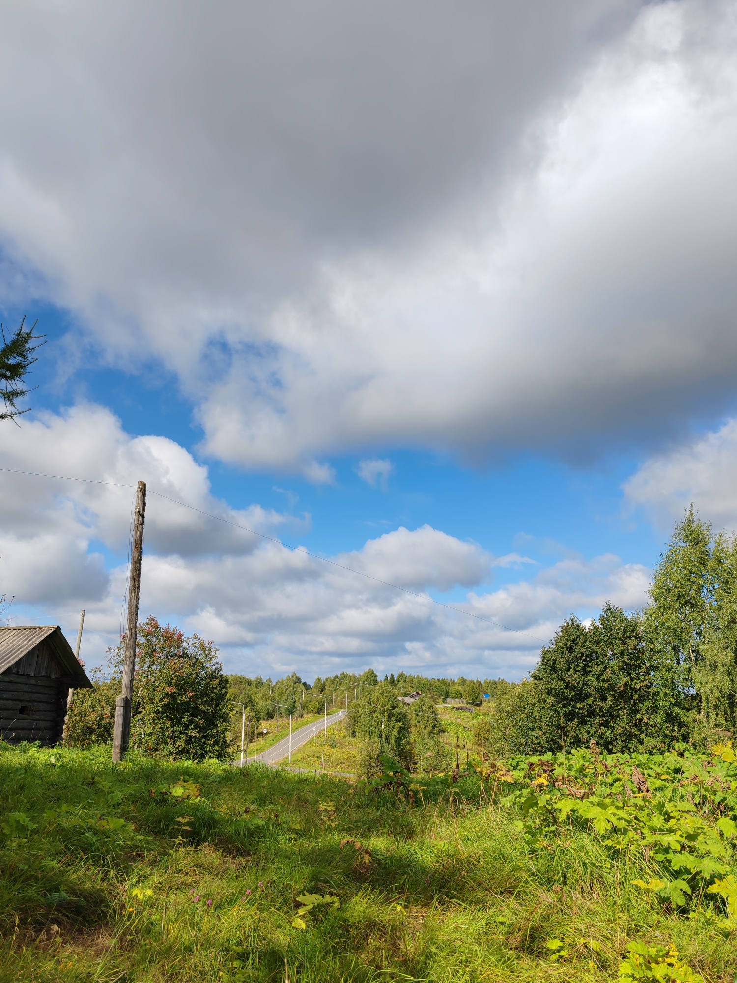 This is a photograph taken in the village of Chukhlem, Russia. The image depicts a rural landscape under a partly cloudy sky. In the foreground, tall green grass and some larger leafy plants are visible. To the left, a small, weathered wooden structure, possibly a shed or part of a traditional Russian izba, sits at the edge of the frame. A wooden pole, likely a utility pole, stands prominently in the middle ground, with a wire extending from it. Behind the pole, a paved road winds uphill through a wooded area. The road is lined with trees and vegetation, with some signs of habitation visible in the distance, including houses with red roofs. The sky is a mix of bright blue patches and large, dramatic grey clouds. The overall impression is one of a serene, remote countryside setting.