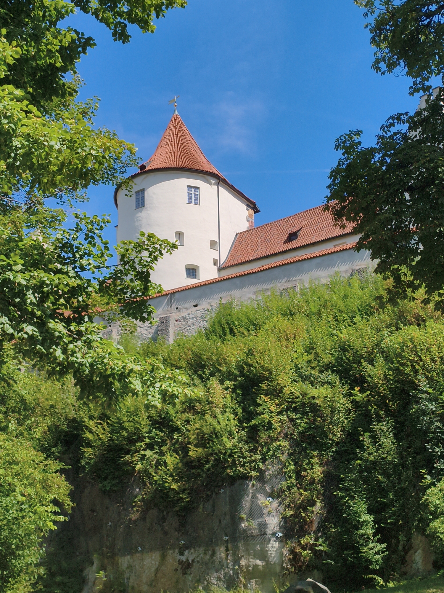 The image shows the Hohes Schloss (High Castle) in Füssen, Germany, a prominent landmark. The castle, with its distinctive white tower topped with a red conical roof and a weather vane, is partially obscured by lush green trees and foliage. A section of the castle wall with red-tiled roofing is visible, set against a clear blue sky. The castle is situated on a hill, with dense green vegetation covering the slope below. The scene is bathed in daylight, suggesting it was taken on a sunny day.