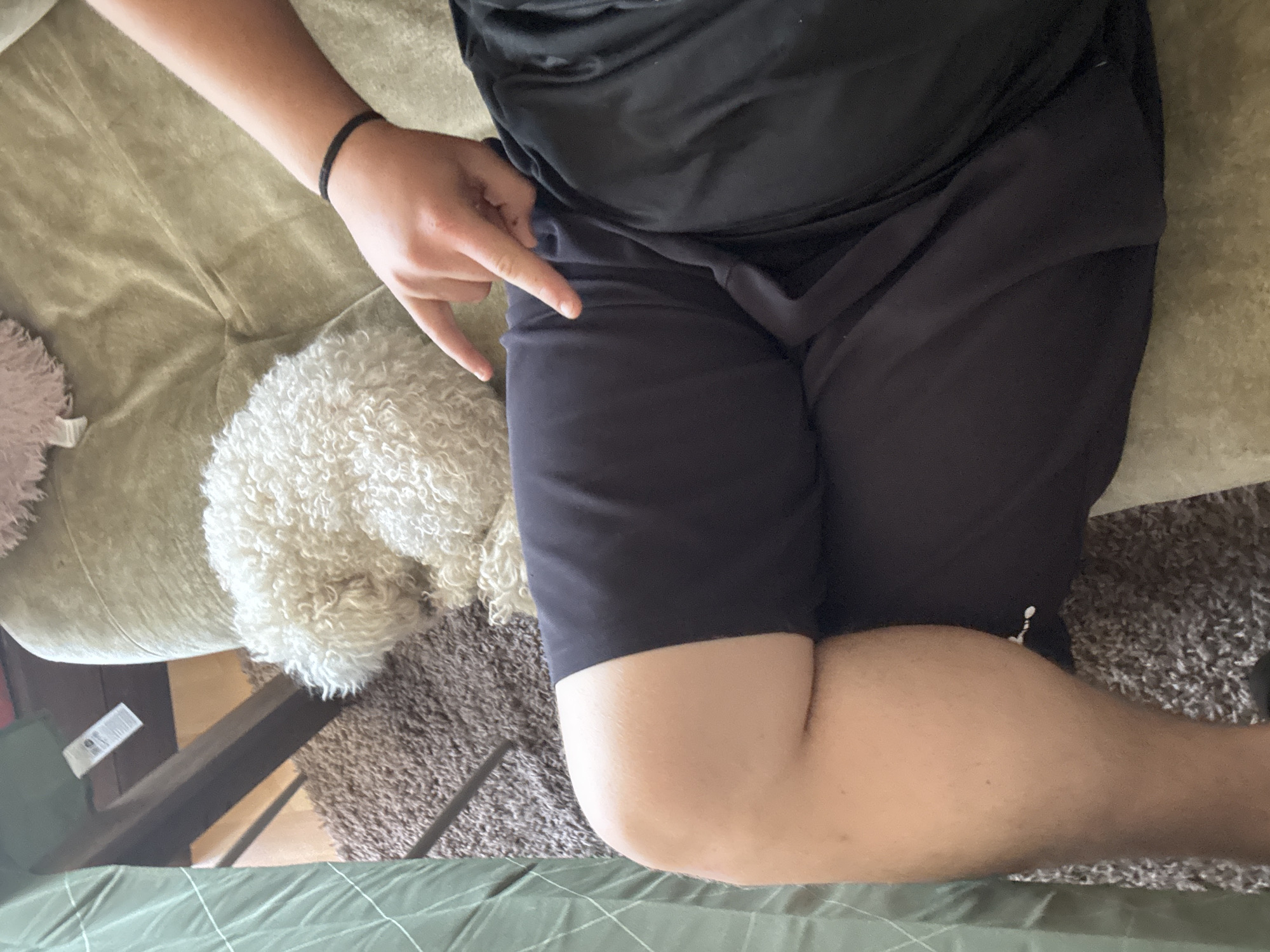 An overhead shot shows a person wearing a black shirt and black shorts reclining on a couch. Their left arm, adorned with a black wristband, extends towards their left thigh, with the index and middle fingers extended in a 'peace' or 'victory' sign. A white, poodle-like dog is nestled near the person on the couch. A brown, shaggy rug lies on the floor next to the couch. A corner of a green plaid blanket is visible at the bottom of the frame. There is no information available to determine the location in the city of Burgas, Bulgaria.