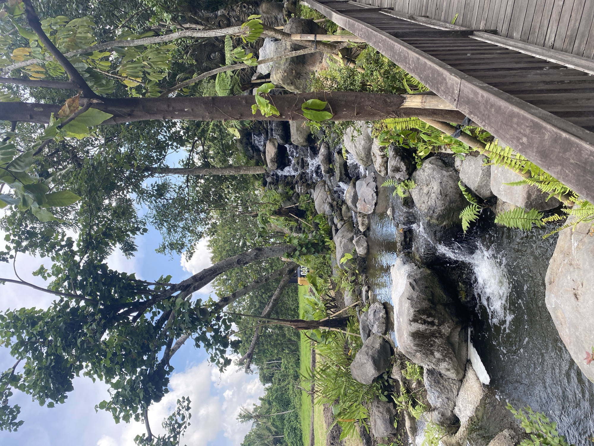 The image depicts a scenic view of a stream flowing through a rocky landscape, likely located in the Ubud District of Indonesia. The stream cascades down a series of rocks, creating small waterfalls. Lush greenery, including trees, ferns, and various plants, lines the banks of the stream. A wooden bridge is visible in the upper right corner of the image. The sky is partially visible through the trees, showcasing a blue sky with some clouds. Beyond the immediate stream area, there is a glimpse of a rice paddy or similar agricultural field. The overall atmosphere is serene and natural.