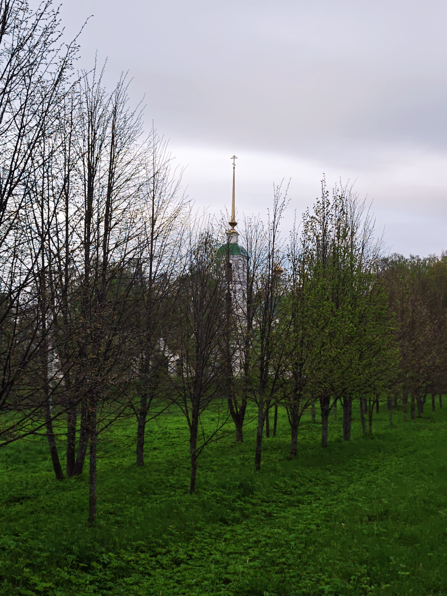 The image depicts a park-like setting in Spas-Ugol, Russia. A line of trees runs across the scene, varying in the fullness of their foliage, suggesting a progression from early spring to later in the season. Behind the trees, the spire of a church or cathedral is visible, with a green dome and golden cross. The ground is covered in vibrant green vegetation, likely grass and low-lying plants. The sky is overcast, creating a soft, diffused light.
