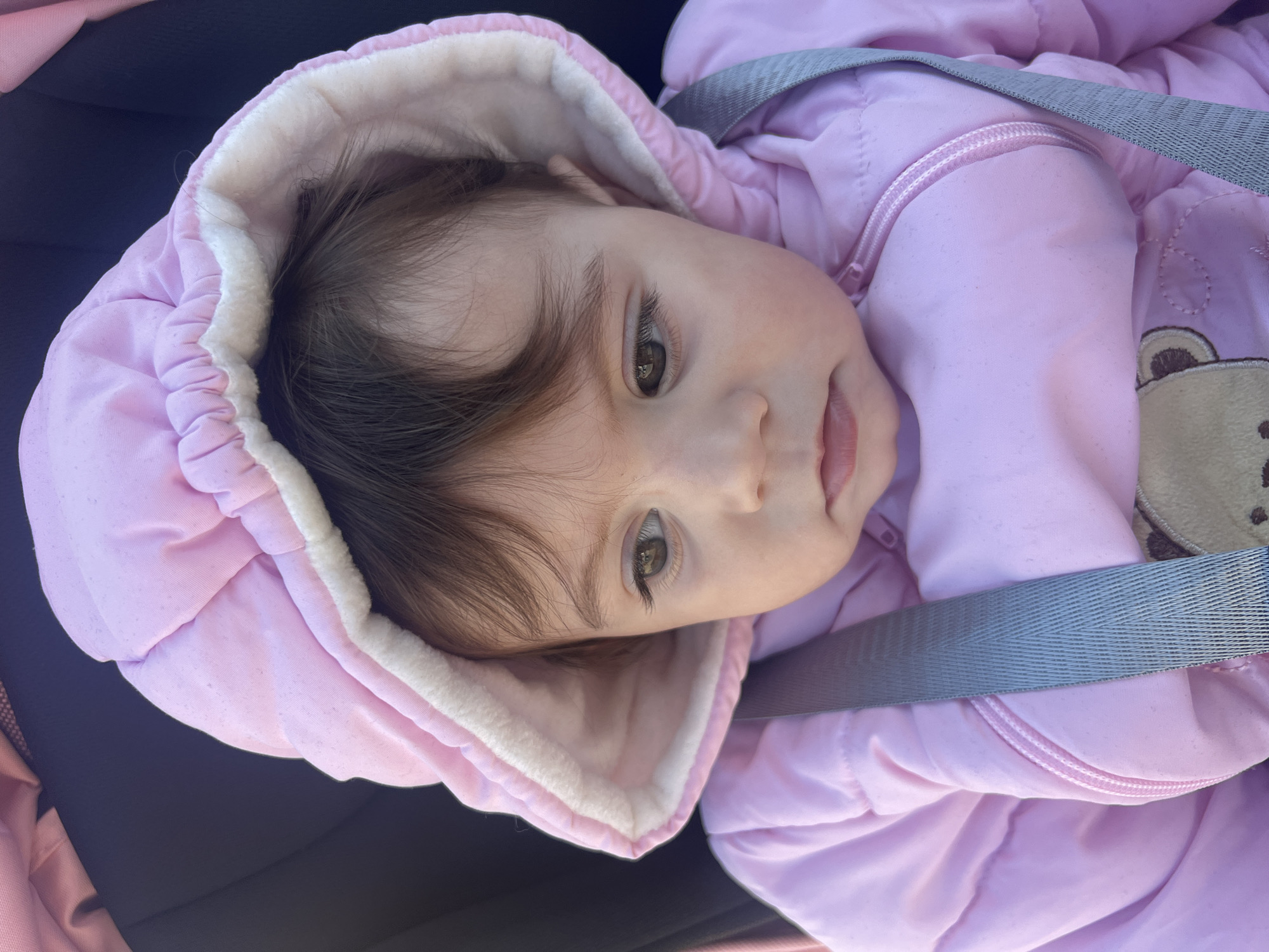 A baby wearing a pink hooded jacket with a white lining is secured with a gray safety strap. The baby has brown hair, brown eyes, and fair skin. The baby appears to be lying in a stroller or car seat. The location is unknown, there is no indication of Elena, Bulgaria in the image.