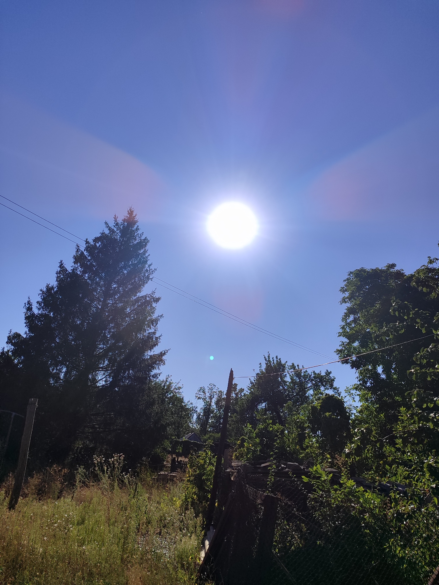 The image shows a bright, sunny day with a clear blue sky. The sun is prominently displayed in the upper center of the frame, emitting a strong glare. In the foreground, there is lush green vegetation, including tall trees and thick bushes. A large evergreen tree stands on the left side of the image, silhouetted against the sky. There are also power lines running horizontally across the scene. A fence is visible in the lower right corner. The overall impression is one of a natural outdoor environment on a warm day.