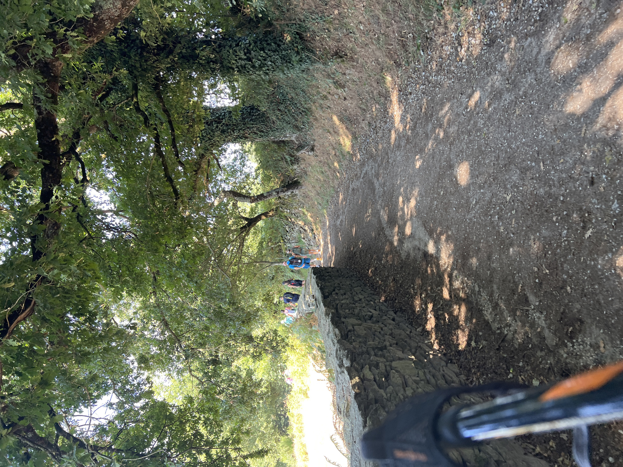 The image depicts a group of people walking on a dirt path lined with a stone wall on the left and trees on the right. The path is covered in gravel and dirt, with shadows from the trees dappling the ground. The people are walking away from the camera, towards a brighter area in the distance. They appear to be hikers, dressed in casual clothing and carrying backpacks. The environment is natural, with lush green trees overhead and vegetation along the sides of the path. The stone wall is made of rough-hewn stones, suggesting an older construction. The scene appears to be a rural or natural setting. While the city of Paradela, Spain is mentioned, there are no explicit landmarks or identifiable features in the image that confirm this specific location.