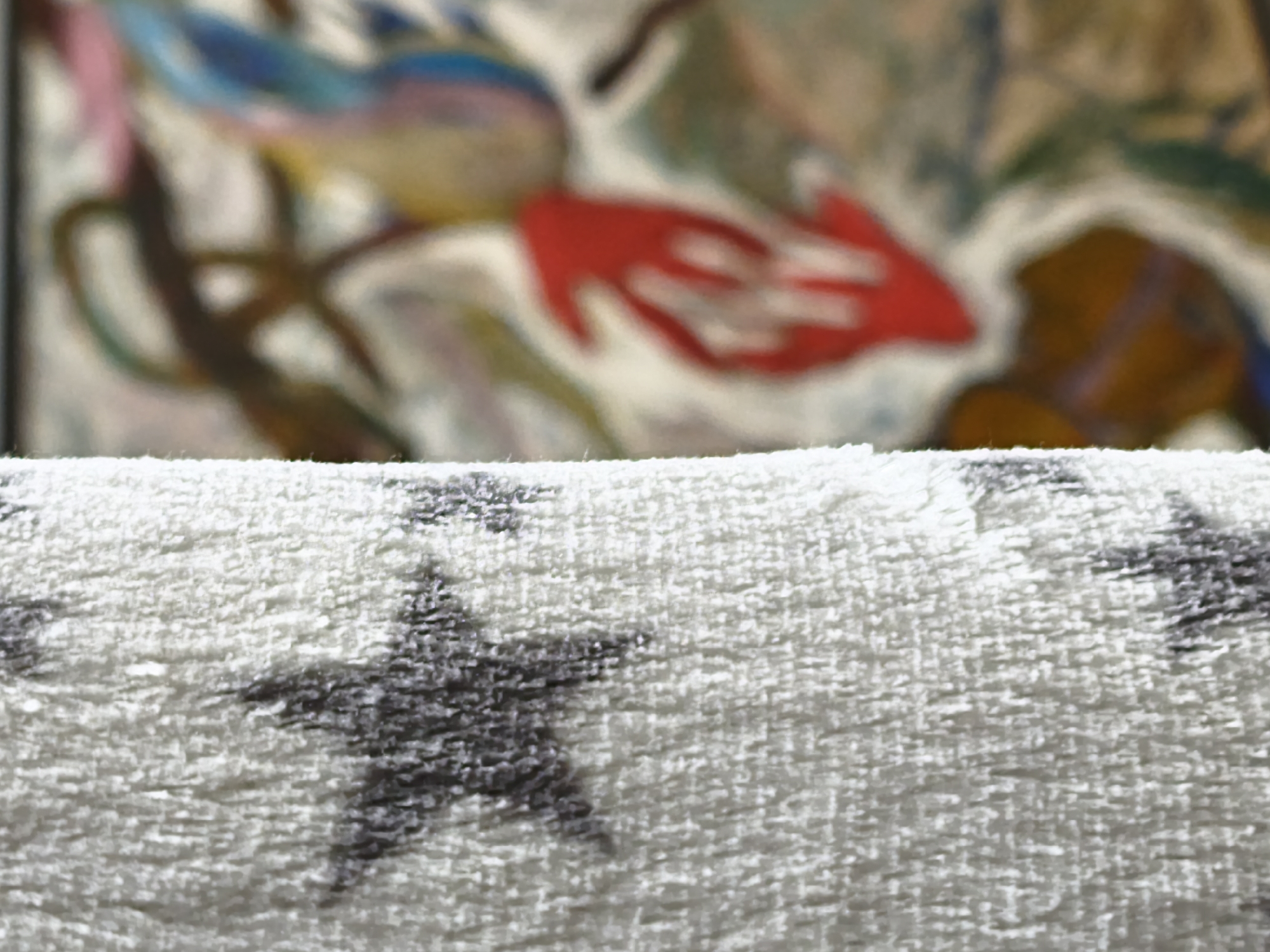 The image is a close-up, low-angle shot of a textured rug with a white and grey star pattern. The rug fills the foreground, with its plush texture and repeating star motif clearly visible. The background is a brightly colored, abstract painting, out of focus and appearing to depict organic shapes and bold strokes of red, yellow, blue, and brown. No specific location in Astana, Kazakhstan, or any people are discernible in this image.