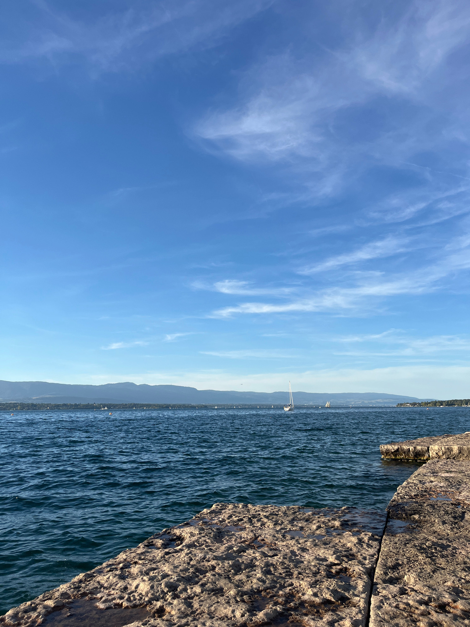 A wide, low-angle shot captures a serene scene of Lake Geneva on a clear day, with a rocky foreground. The water is a deep blue, rippled by a gentle breeze, with several sailboats visible in the distance. The far shore is lined with trees and hills, forming a soft silhouette against the bright blue sky. Wispy white clouds drift across the sky, adding texture and depth. The rocky edge of the shore, in the foreground, is rough and textured, with some patches of water reflecting the sky. This tranquil setting is indicative of the scenic beauty found in Cologny, Switzerland, a lakeside commune known for its stunning views of Lake Geneva and the surrounding Alps.