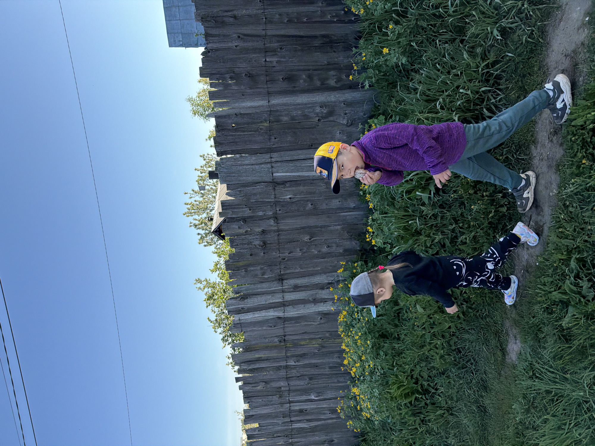 Two children are standing on a grassy path alongside a weathered wooden fence. The older child, wearing a purple sweater and a yellow and navy blue baseball cap, is eating something. The younger child is wearing a black sweatshirt and patterned black and white pants, with a grey and light blue baseball cap. Yellow wildflowers grow near the fence. The sky is blue, and power lines are visible. The location is likely Chaikovsky, Russia.