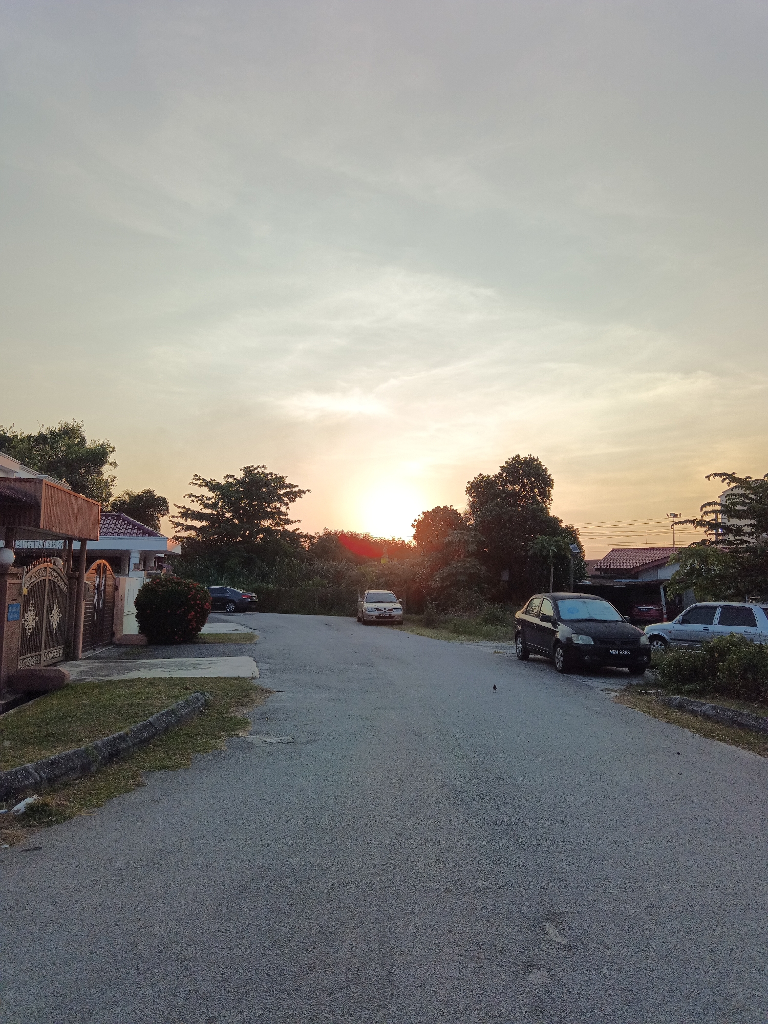 The image depicts a quiet residential street in Klang City, Malaysia, at sunset. The sky is a soft gradient of orange and yellow, transitioning to pale blue, with wispy clouds. The setting sun is visible in the distance, peeking through a dense line of trees and foliage that separates the residential area from a more rural or overgrown landscape.
On the left side of the street, there is a house with a prominent gate made of ornate metal. Adjacent to the house, a manicured bush adds a touch of green to the foreground. The road itself is asphalt, with faint white markings indicating its center.
Several cars are parked along the street. A dark-colored sedan is parked on the right side, its license plate clearly visible. Further down the road, a silver car is parked on the left. Another silver vehicle is visible on the right, further back. There are no people visible in the scene.
The overall atmosphere is tranquil, characteristic of a peaceful evening in a suburban neighborhood. The natural light of the sunset casts a warm glow over the entire scene, highlighting the textures of the road, the foliage, and the houses.