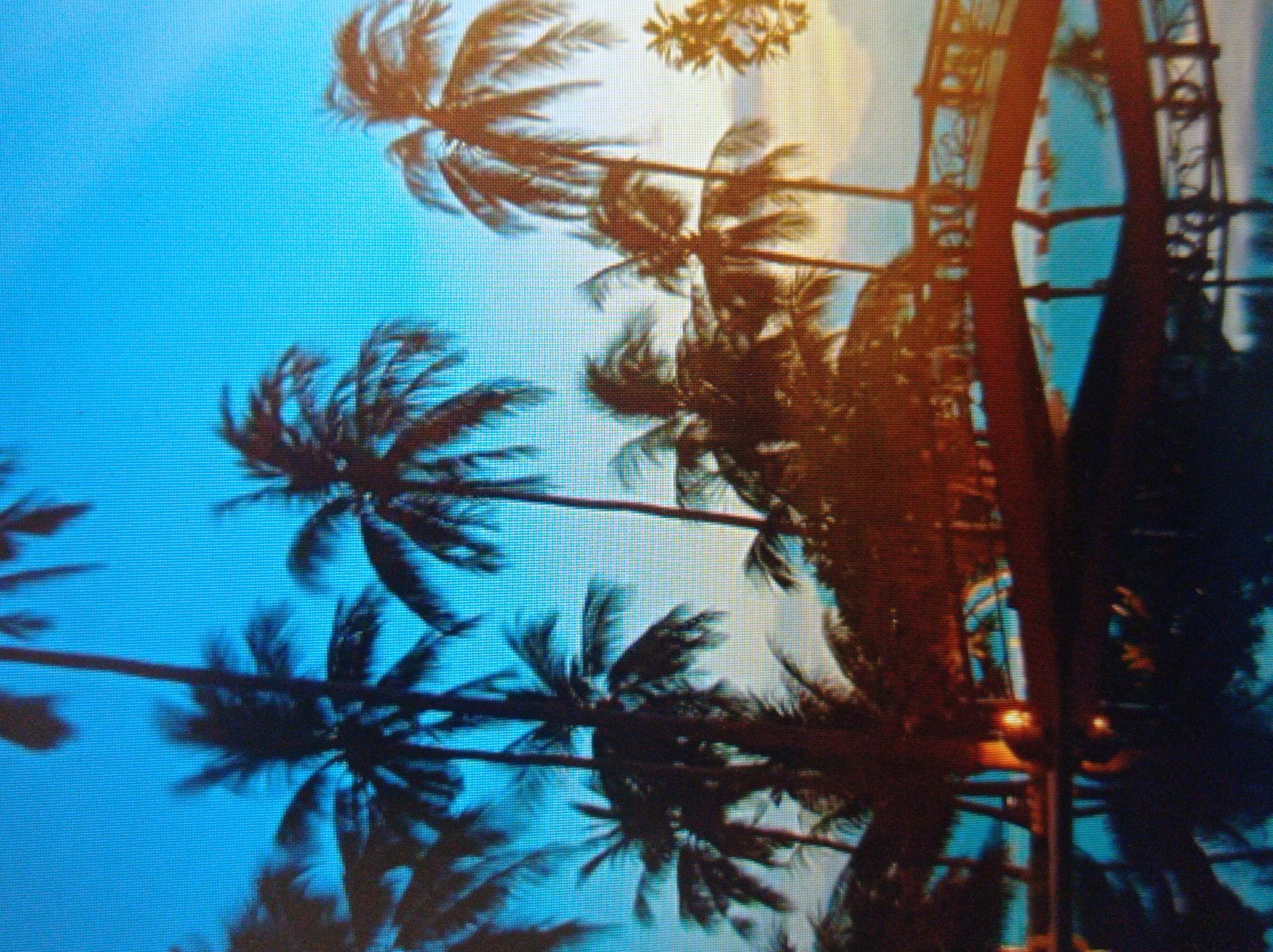 This is a photograph of a tropical scene at dusk, featuring numerous palm trees silhouetted against a bright blue sky. A wooden bridge arches over a body of water that reflects the sky and trees. The water is dark, indicating a twilight setting. In the distance, the sky transitions to lighter hues, suggesting a sunset. The image does not depict the city of Mukachevo, Ukraine.