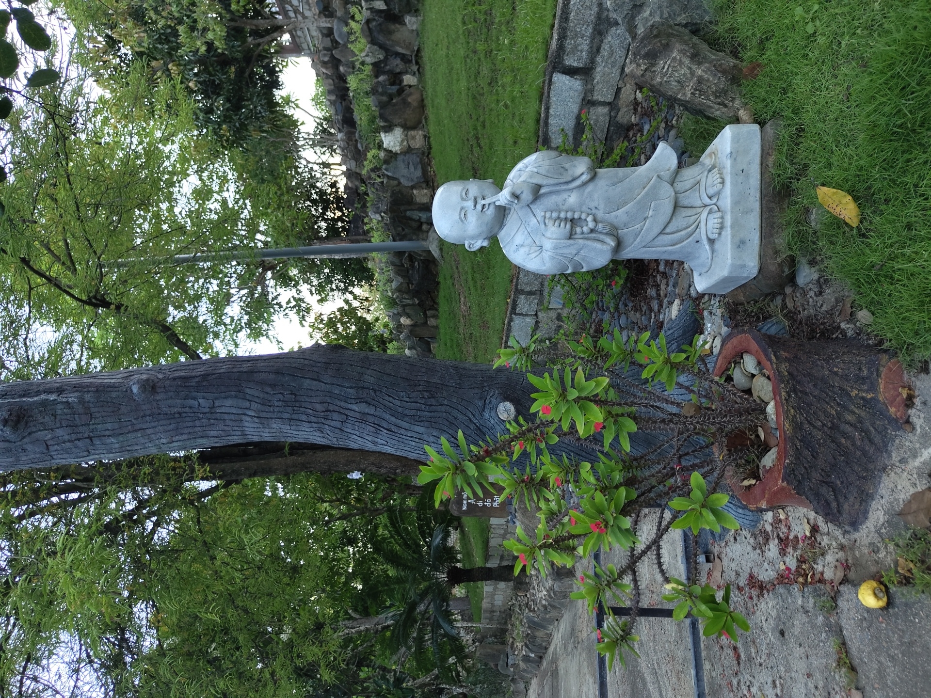 A statue of a child monk is located in a garden in Bac Nha Trang Ward, Vietnam. The statue is made of white marble and depicts the monk with his finger to his lips in a shushing gesture, with a rosary in his hand. The monk statue is standing on a stone base, which is placed on top of a large, moss-covered rock. In front of the statue is a small potted plant with green leaves and red flowers. To the left of the statue is a large, gray tree trunk with a rough texture. Behind the statue, there is a stone wall and a grassy hill. The overall setting suggests a peaceful and serene environment.