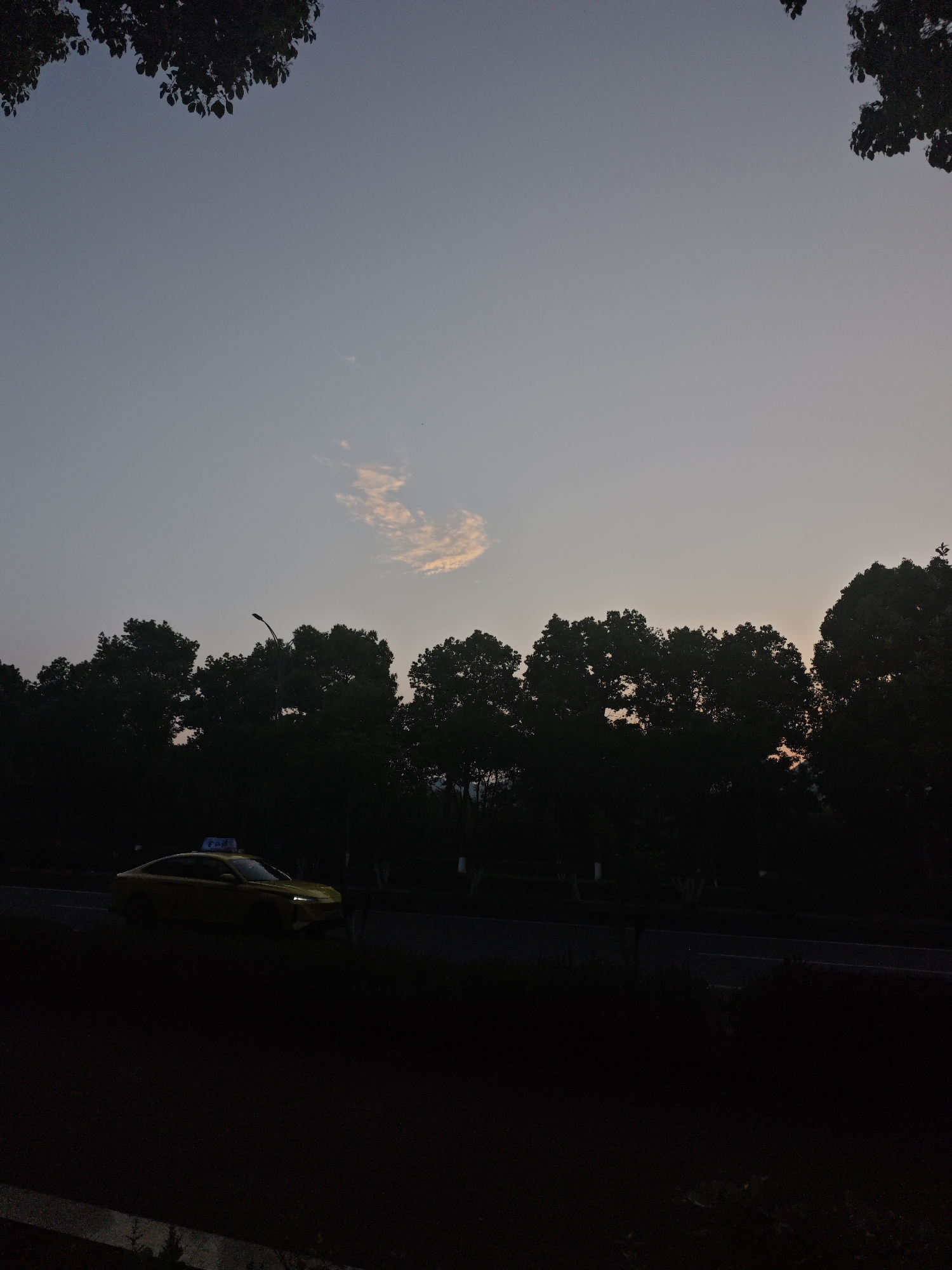 The image depicts a street scene in Chongqing High-tech Zone, China, at dusk or dawn. A yellow taxi is driving on a road bordered by dense trees. The sky is light with a solitary cloud. Vegetation is visible in the foreground, obscured by darkness. Trees are also visible at the top corners of the image.