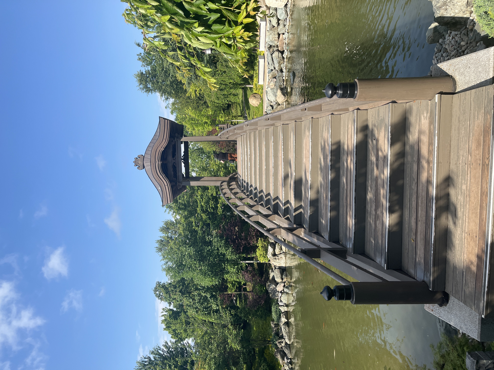 This is a vertical, eye-level shot of a wooden bridge arching over a pond in a Japanese garden. The bridge, made of dark brown wood with lighter wood steps, leads to a traditional Japanese gazebo with a curved roof. A person wearing a dark top and orange pants stands at the far end of the bridge, facing away from the camera. The pond water is a murky green, with visible ripples. The background is filled with lush green trees and foliage, with some large rocks lining the edge of the pond. The sky above is a clear blue with a few wispy white clouds. This is likely a scene from the Japanese Garden in Krasnodar, Russia, known for its authentic architecture and tranquil atmosphere.