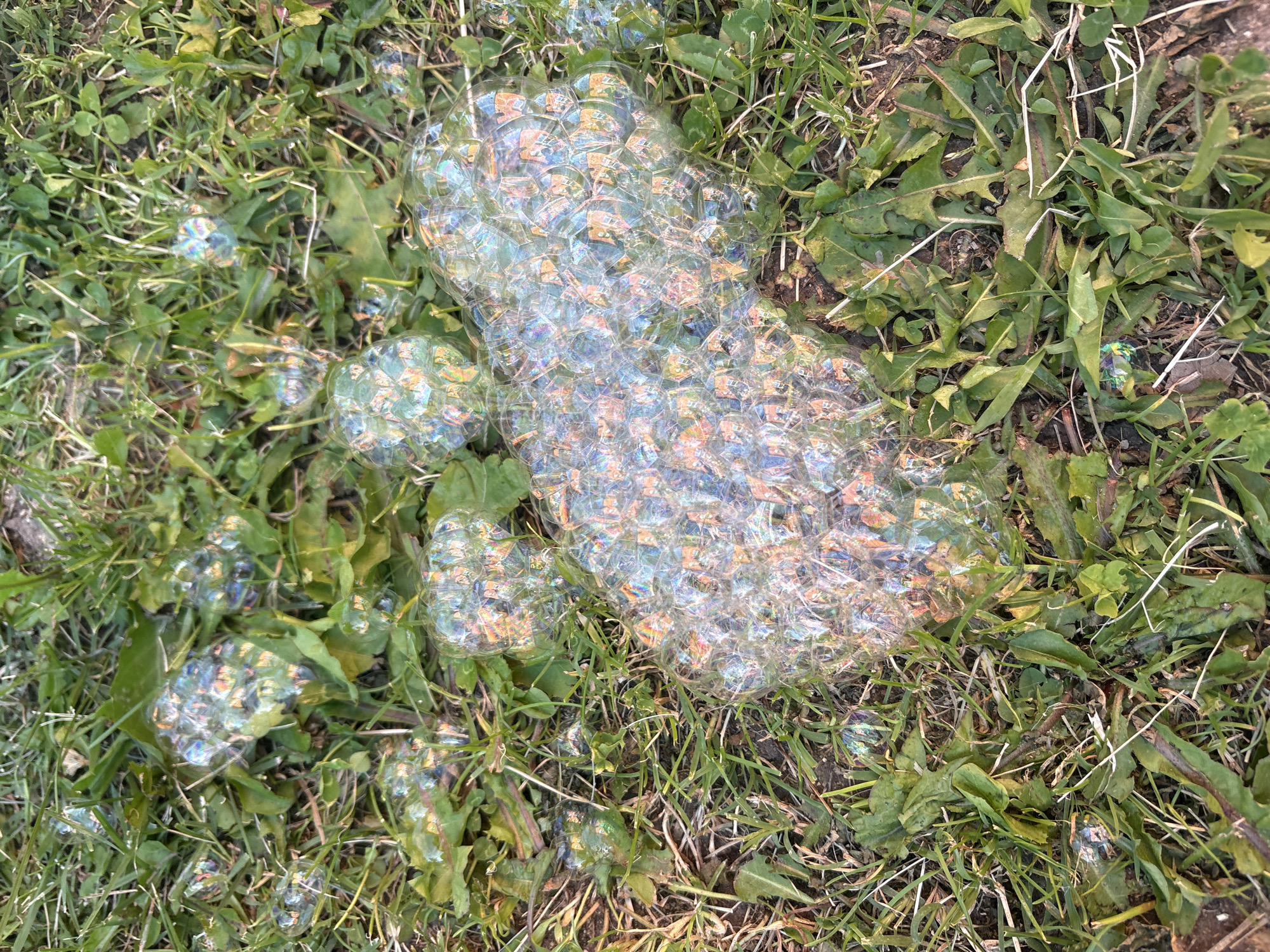 A close-up aerial shot shows a cluster of iridescent soap bubbles scattered on a patch of green grass in Strelcha, Bulgaria. The bubbles, reflecting the light with rainbow hues, lie amongst blades of grass and some fallen leaves.
