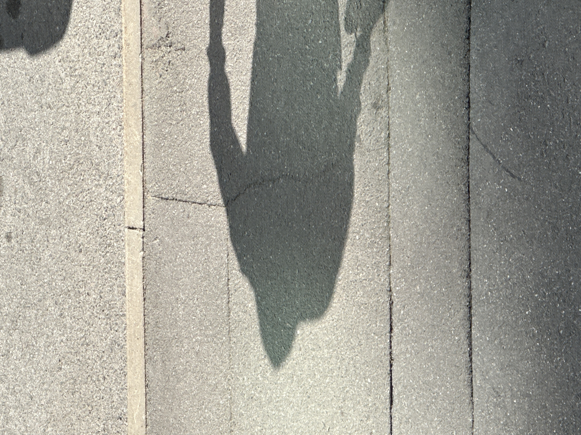 The image shows a shadow cast on an asphalt surface, suggesting it was taken outdoors during the daytime. The shadow appears to be of a person, as it depicts a vaguely human form with a head and outstretched arm. The asphalt surface is divided into sections by visible lines, possibly indicating a road or sidewalk. A lighter colored curb is visible along the top edge of the image, separating the asphalt from a lighter, more granular surface, which could be a sidewalk or another paved area. The overall lighting indicates a bright day, causing a distinct shadow. The location in Murino, Russia, is not visually discernible from the image itself.