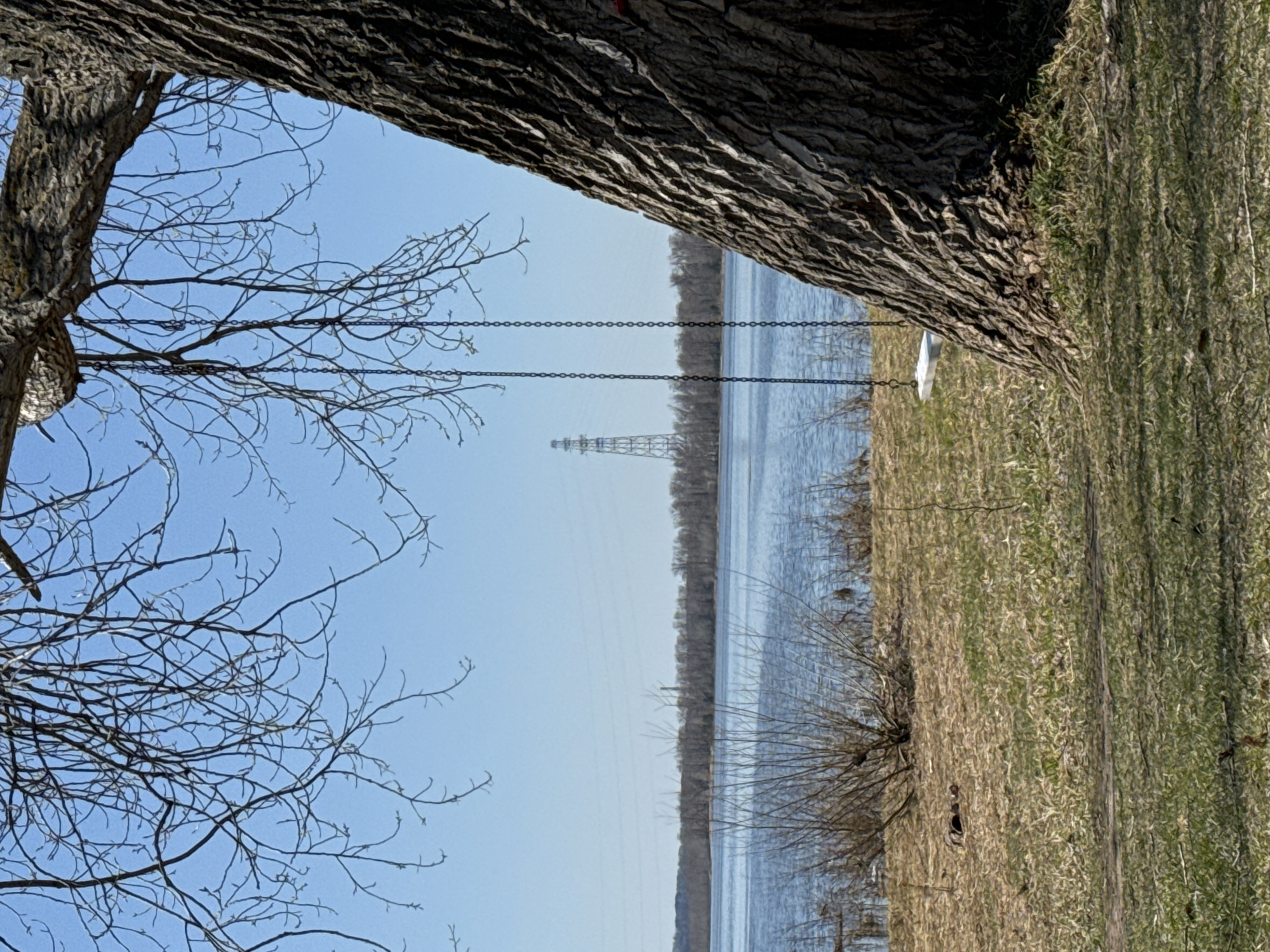 The image presents a landscape view in what appears to be Chaikovsky, Russia, indicated by a river setting. A tree occupies much of the top and left frame. Attached to the tree are two chains, possibly supporting a swing seat that is visible on the right. In the background is a river. Further in the background, an electrical power line is visible. The scene appears serene with elements of nature and man-made structures.