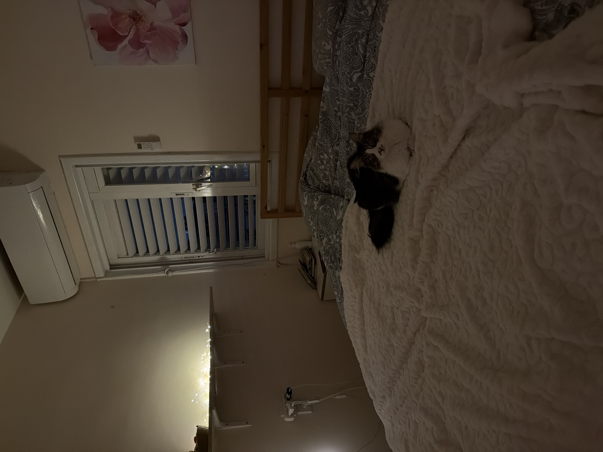 A bedroom with a bed dominating the frame. The bed has a white, textured comforter and a patterned duvet. A black and white cat is lying on the bed. The room has a window with blinds, a wall-mounted air conditioner, shelves with decorative lights, and a painting of a pink flower on the wall. A power strip and some books are also visible. This scene likely takes place in a home, possibly an apartment, in Bat Yam, Israel.