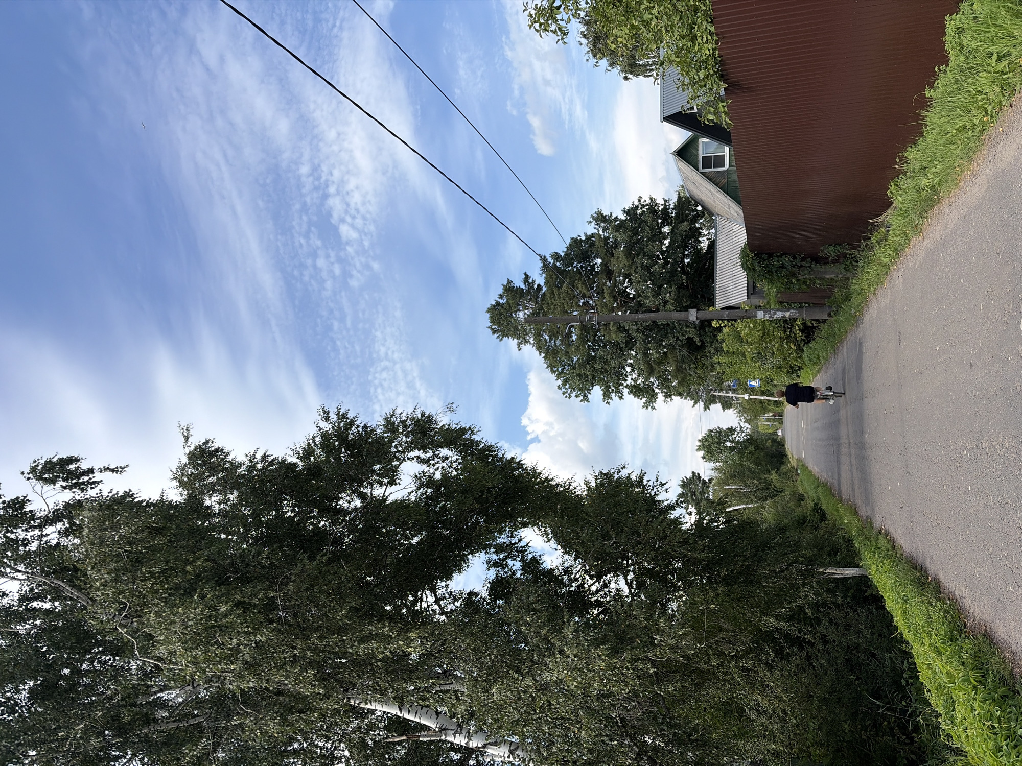 A person is riding a bicycle down a paved road in a rural area. The road is lined with trees and houses, and there are power lines overhead. The sky is blue with some clouds. The person is wearing a dark t-shirt and shorts. The bicycle is a light color. The houses are typical of a village or dacha settlement, with peaked roofs and wooden siding. A tall, thin birch tree is prominent on the left side of the image, with its white bark and dark green leaves. A brown metal fence runs along the right side of the road, bordering the properties. The overall impression is of a peaceful, everyday scene in a Russian countryside location.