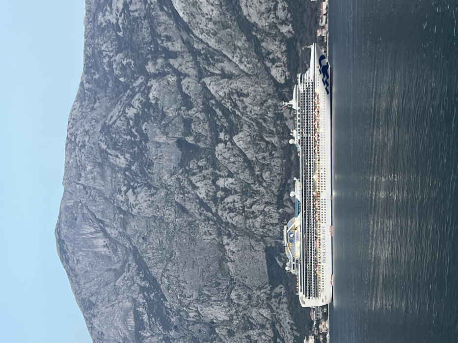 A large, multi-decked white cruise ship, identified by "PRINCESS CRUISES" text and blue wave patterns on its bow, floats on calm, dark blue water. The vessel's numerous windows are illuminated, and a distinctive glass-domed structure is visible on its upper deck. In the background, towering, rugged grey mountains with areas of sparse vegetation rise abruptly, extending to the top of the frame. Along the base of these mountains, on the shoreline, low-rise structures characteristic of a coastal settlement are visible. The sky above the mountain peaks is clear and light blue. The scene is located in the Bay of Kotor, near Bogdašići, Montenegro, during what appears to be late afternoon or early evening. No individuals are distinctly visible. The ship is either stationary or moving slowly through the water.