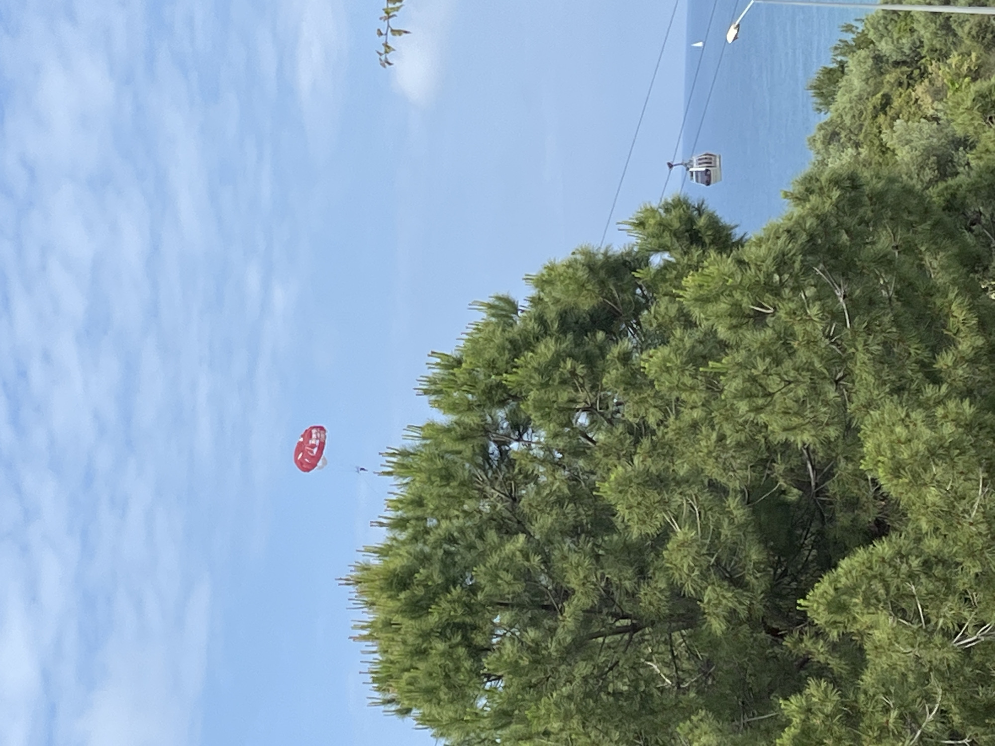 The image captures a scene in Alanya, Turkey, showing a red parasail suspended in the air against a blue sky with light clouds. To the right, there is a large green tree that partially obscures a cable car and the sea in the background. A streetlight is visible above the tree.