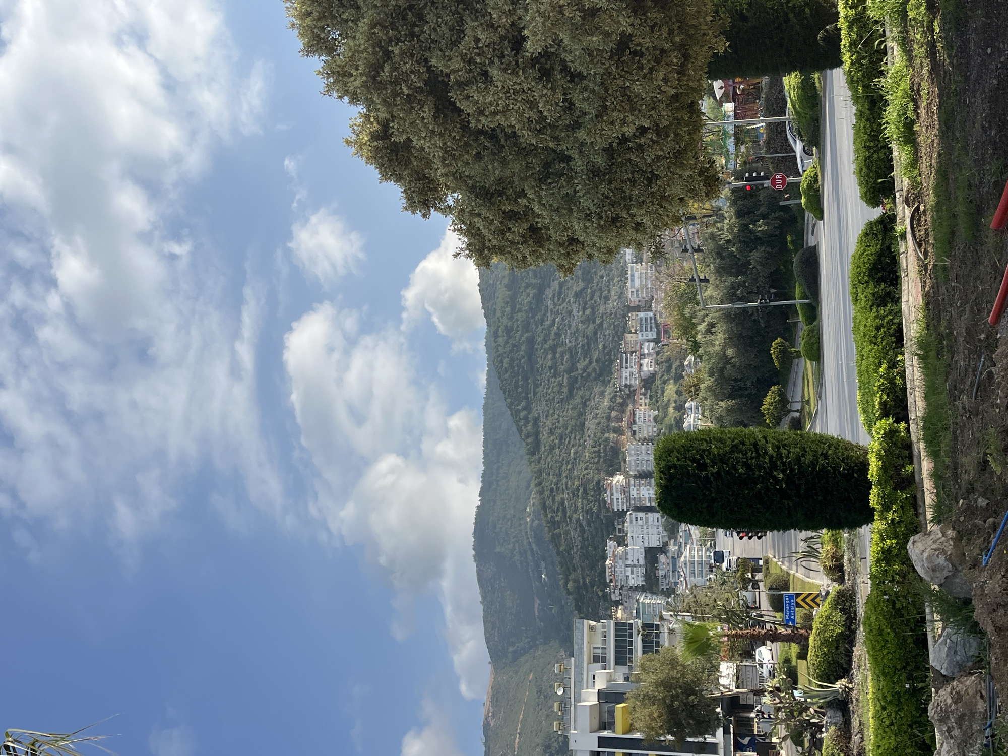 The image shows a landscape view of Alanya, Turkey, featuring a mountain covered in dense green vegetation. At the base of the mountain, white buildings are scattered, indicating urban development. A road lined with green shrubbery and trees runs along the right side of the frame, with street signs and traffic signals visible. The sky above is blue with scattered white clouds. A large tree is positioned in the upper portion of the image, obscuring some of the buildings in the city.