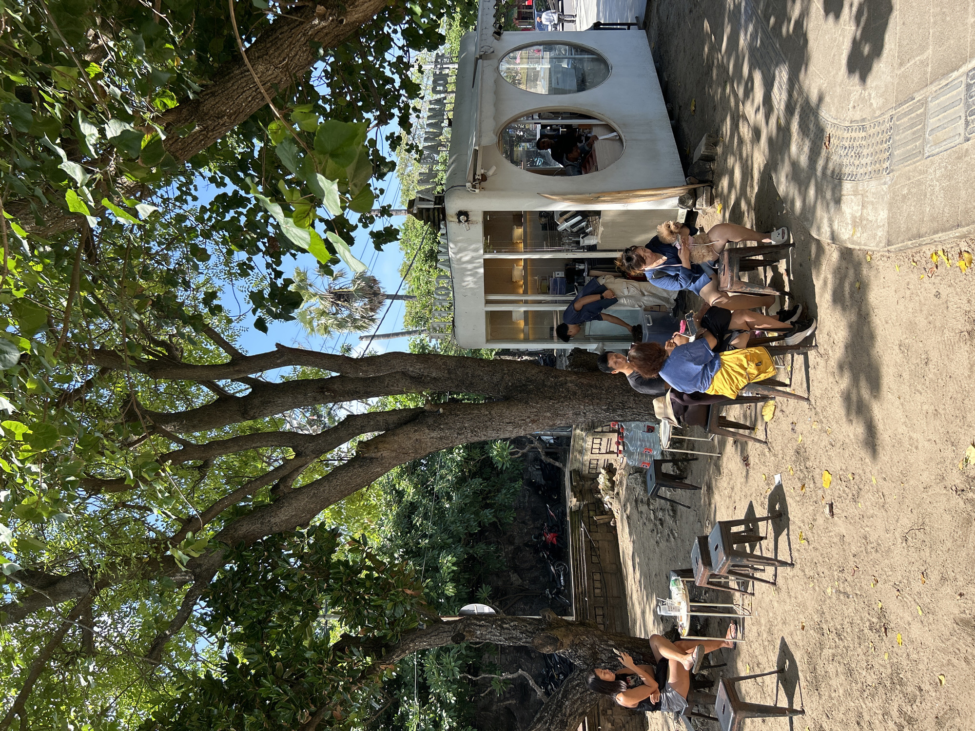 In Kuta, Indonesia, a coffee kiosk named "TAN-PANAMA COFFEE" is situated outdoors, shaded by large trees. Several people are seated at small tables on a sandy ground. A woman in a black tank top and shorts is on the left, looking at her phone. In the center, a group of people are seated on stools, some conversing and one holding a small, light-brown dog. Inside the kiosk, a person appears to be working behind the counter, and another is visible through a circular window. In the background, motorcycles are parked behind a low stone wall, and more trees and palm trees are visible. The sky is clear and blue.