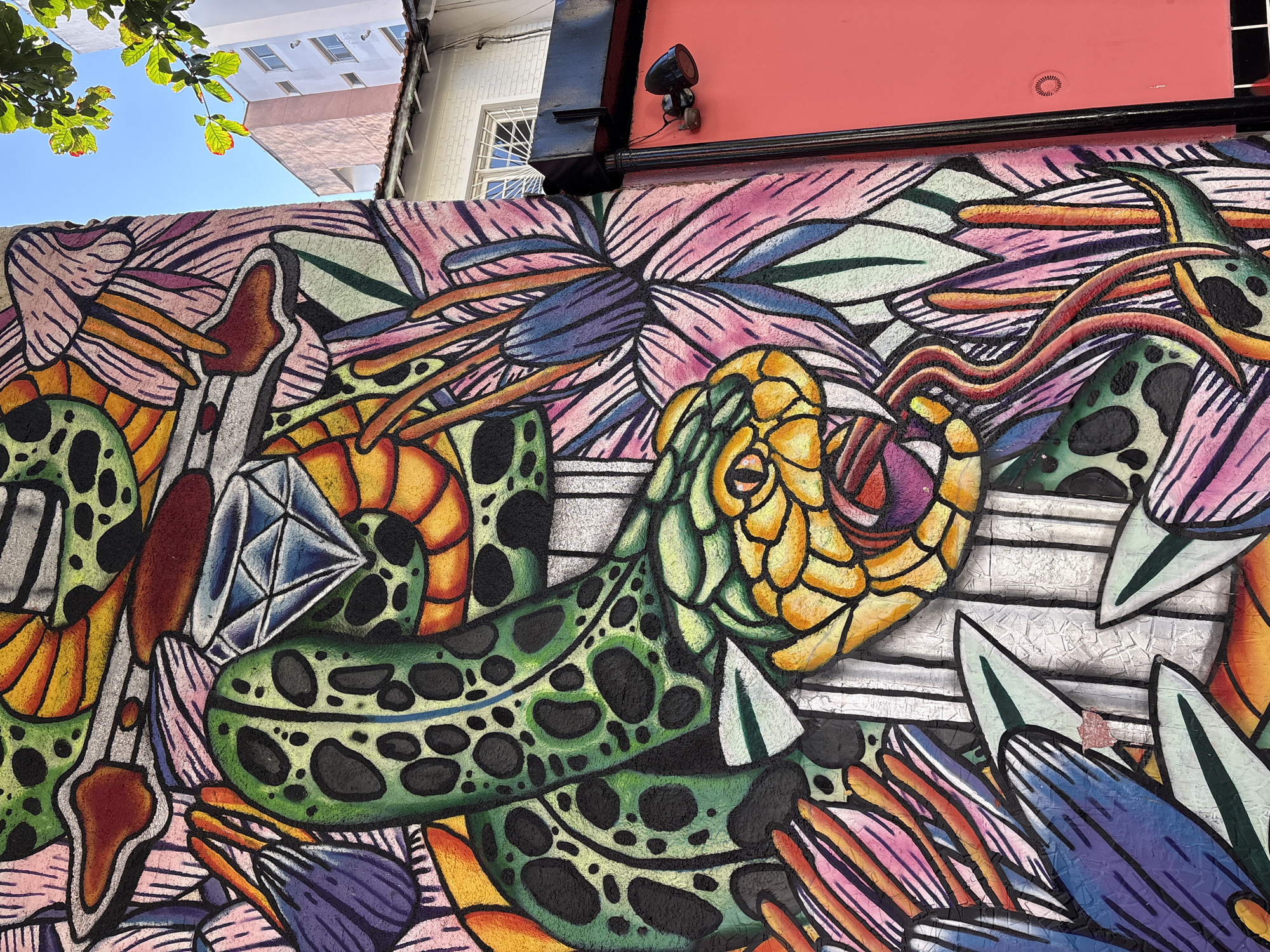 The image captures a vibrant mural adorning a building in São Paulo, Brazil. The artwork features a stylized green snake with black spots, its head prominently displayed with an open mouth and a forked tongue. The snake is intertwined with colorful floral elements in shades of pink, purple, orange, and blue, creating a dynamic and energetic composition. A diamond is depicted near the snake's head, adding a touch of opulence to the scene. The mural is painted on a textured wall, which shows some signs of wear and cracking, indicative of its outdoor exposure. In the background, a modern building with light pink and white facades and windows is visible against a clear blue sky. A tree with green leaves overhangs the scene, suggesting an urban setting with surrounding greenery. A black downspout and an outdoor light fixture are attached to the wall to the right of the mural, and a section of the adjacent building is painted a bright coral pink.