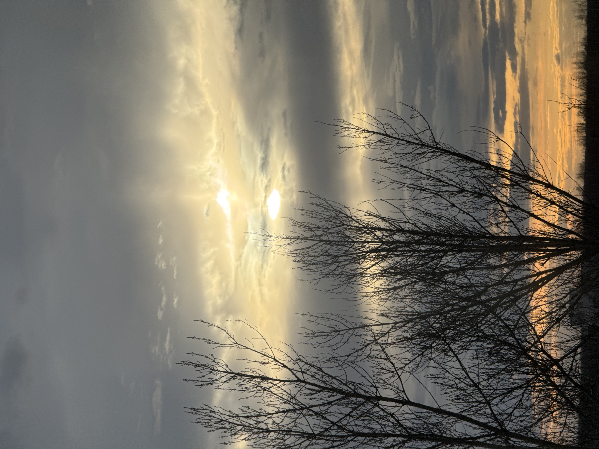 The image depicts a tranquil outdoor landscape, oriented vertically with the sky dominating the frame. The scene captures a sunset or sunrise, evidenced by the warm, golden light emanating from the sun, which is partially obscured by clouds.
The sky is filled with a mixture of clouds. On the left, it transitions from a dark grey, subtly revealing lighter, wispy cloud formations, to a brighter, intense golden-yellow around the visible sun. The sun's bright rays create a strong lens flare effect and illuminate the surrounding clouds with a soft, ethereal glow. Further to the right, the sky shifts to tones of blue-grey and soft orange, suggesting the fading light of day or the emerging light of dawn.
In the foreground, the bare, intricate branches of several deciduous trees are silhouetted against the bright sky, creating a stark, dark contrast. These branches occupy the lower and right portions of the frame, framing the vibrant sky. The trees appear to be without leaves, indicating winter or early spring. On the far right, a distant treeline forms a dark, horizontal silhouette against the lighter sky, suggesting a flat horizon or open terrain in Ново-Никольское, Russia.
There is no discernible activity or specific event taking place, presenting a serene natural tableau. No text is visible in the image. The overall mood is calm and contemplative, highlighting the natural beauty of the changing light.