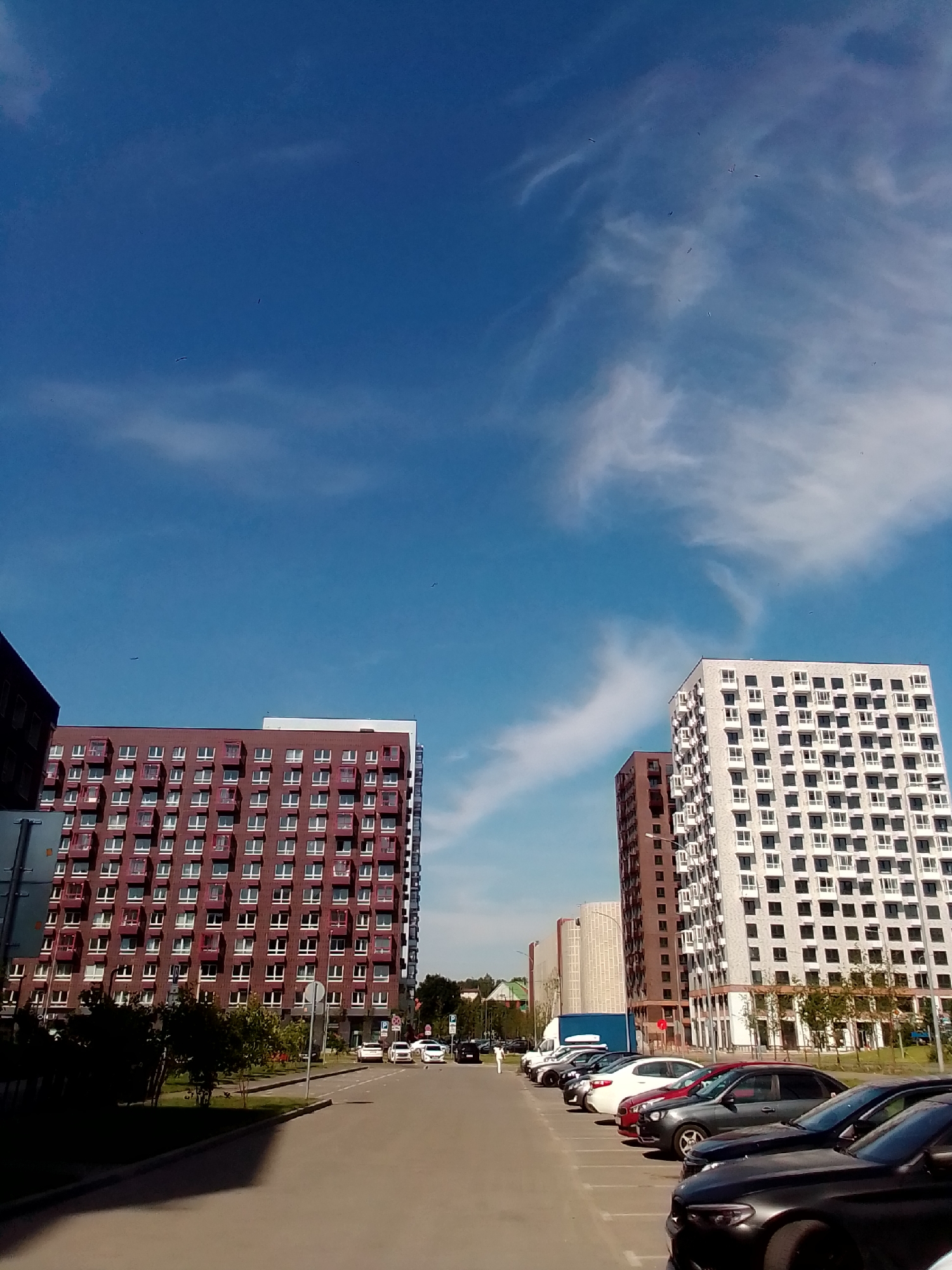 A street-level, eye-level, medium shot captures a clear, sunny day in a modern urban environment. The scene is dominated by two tall residential buildings, one a deep reddish-brown with rows of small, red-framed windows and balconies, and the other a lighter, off-white color with numerous evenly spaced square windows. Both buildings have multiple floors and appear to be apartment complexes. In the foreground, a paved parking lot is filled with a variety of cars, including a dark grey sedan, a black sedan, a red sedan, and a white sedan. The cars are parked in marked spaces. A paved road runs alongside the parking lot, and a sidewalk is visible on the left side of the image. Green trees and bushes are planted along the roadside and between the buildings. The sky above is a vivid blue with scattered wispy white clouds. A few birds are visible in the sky. The overall impression is of a well-maintained, contemporary residential area.