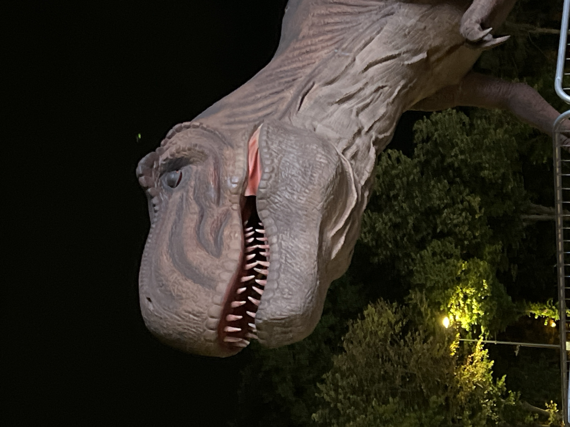 A close-up, low-angle, night-time photograph shows a large, detailed dinosaur statue, likely a Tyrannosaurus Rex, with its mouth open, revealing sharp teeth and a pink tongue. The statue is brown and textured, designed to mimic reptile skin. In the background, lush green trees are illuminated by a street lamp, casting a yellow-green glow. The overall scene appears to be an outdoor public space, possibly a park or a nighttime attraction, with a metal fence visible in the foreground. The location is specified as Constanța, Romania. There are no people visible in the image.