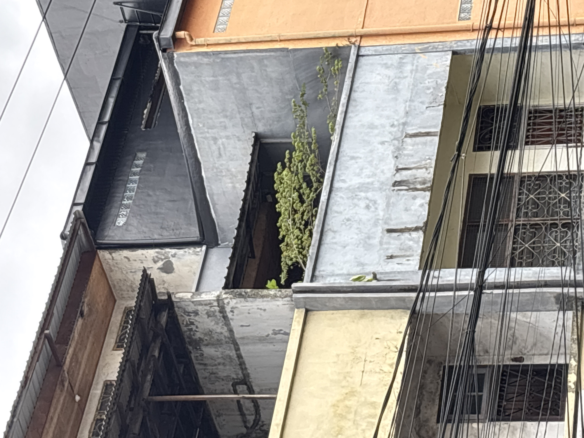 The image displays the upper floors of a multi-story building, likely residential or commercial, in Denpasar, Indonesia. The architecture features a mix of weathered concrete, corrugated metal roofs, and a brightly colored orange facade on the right. Overgrown green foliage is visible emerging from an opening in one of the mid-level sections. Electrical wires are densely strung across the lower portion of the frame. The sky appears overcast. There are no people visible in the scene.