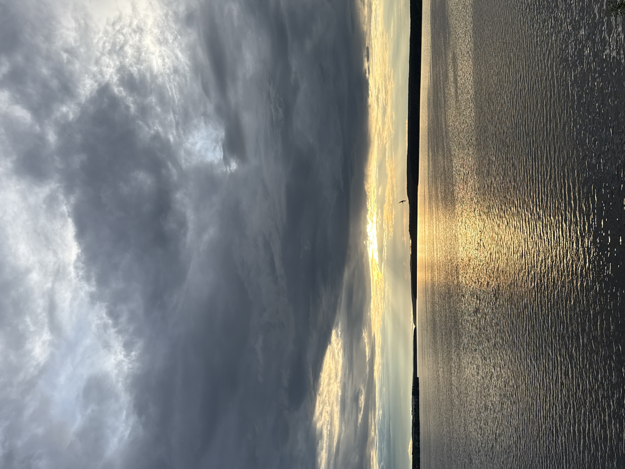 This image captures a dramatic landscape scene, likely at sunset or sunrise, over a wide body of water, possibly the Votkinsk Reservoir in Votkinsk, Russia.
**Subjects:** The dominant subjects are the vast expanse of water and the expansive sky. A distant, dark landmass or shoreline is visible on the horizon, silhouetted against the bright light. A small, dark bird is captured in flight, positioned against the luminous part of the sky.
**Activity or event taking place:** The scene depicts the natural event of the sun either rising or setting, casting a golden glow across the water and through breaks in the clouds. The bird is in the midst of flight over the water.
**Notable details:**
- **Time of day:** The warm, golden light reflecting on the water and illuminating the clouds strongly suggests either sunrise or sunset. The sun itself is not directly visible as a disc but is indicated by the intense brightness emanating from the horizon.
- **Weather:** The sky is heavily clouded, with large formations of dark grey clouds dominating the upper and left portions of the frame. However, there are significant breaks in these clouds, allowing brilliant sunlight to stream through, creating a striking contrast between the dark, stormy appearance and the radiant light.
- **Location cues:** The presence of a vast water body, a distant shoreline, and the specific golden hour lighting hints at a natural, open landscape. The provided context specifies Votkinsk, Russia.
- **Emotions:** The scene evokes a sense of awe and dramatic beauty due to the interplay of light and shadow, and the expansive natural elements.
- The water's surface is textured with countless ripples, each catching the golden light and creating a shimmering, almost metallic effect stretching into the distance.
**Visible text:** There is no visible text in the image.
