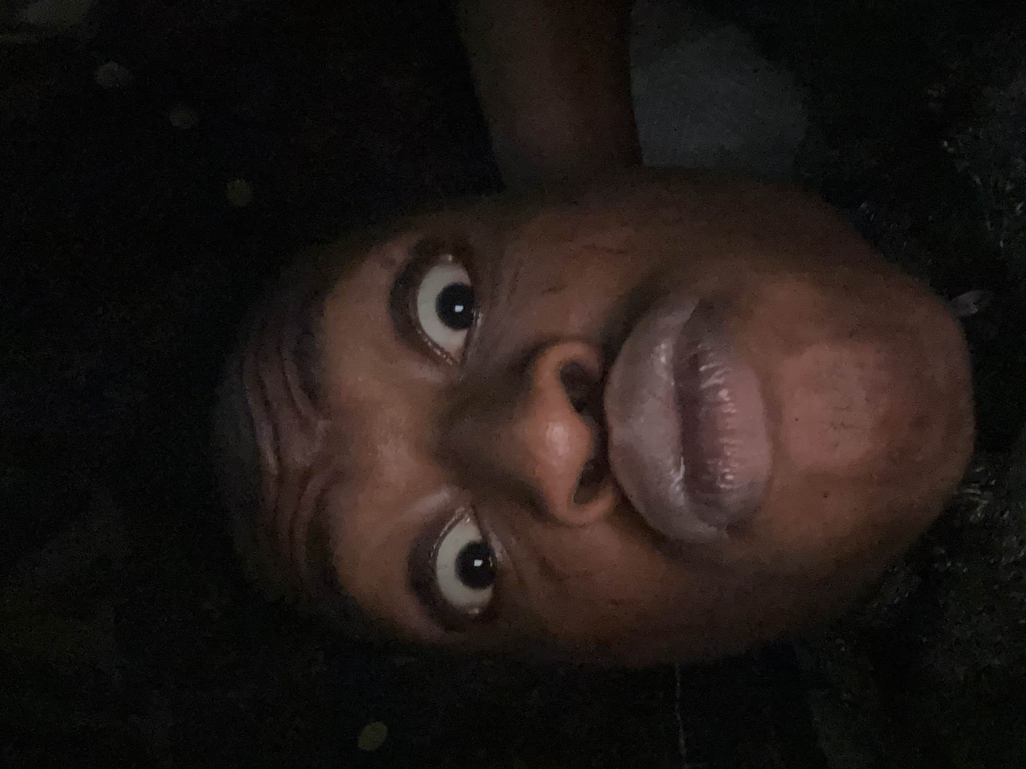 The image is a close-up of a person's face, taken from a low angle. The person has dark skin, with wide eyes and pursed lips. The background is dark and indistinct. The location is Unknown, Unknown.