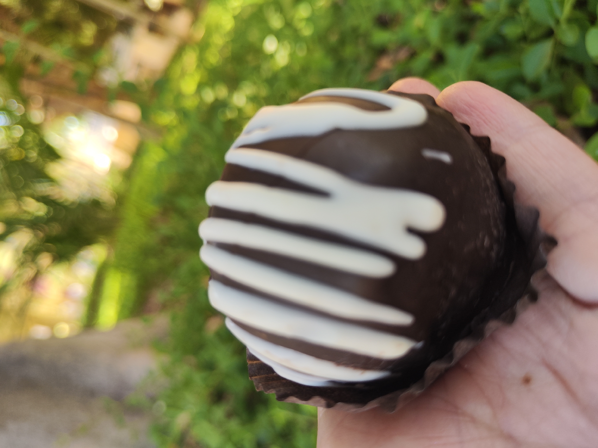 A hand holds a chocolate ball dessert, decorated with white icing in horizontal stripes. The dessert sits in a fluted brown paper cup. The background is a blur of green foliage and an out-of-focus urban scene. The city and country are unknown.