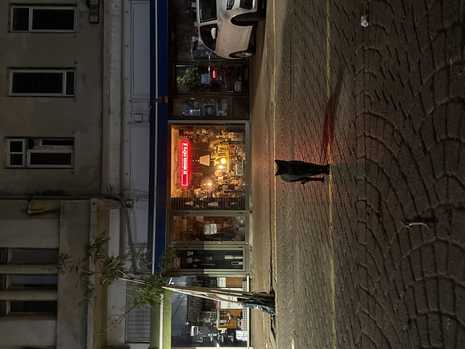 A black cat stands on a brick-paved sidewalk next to a building at night. The building has a store with a brightly lit display window and a neon sign. A white car is parked near the store's entrance. The sidewalk is illuminated by streetlights, casting long shadows behind the cat. Windows and other structures are visible on the building's upper floors.