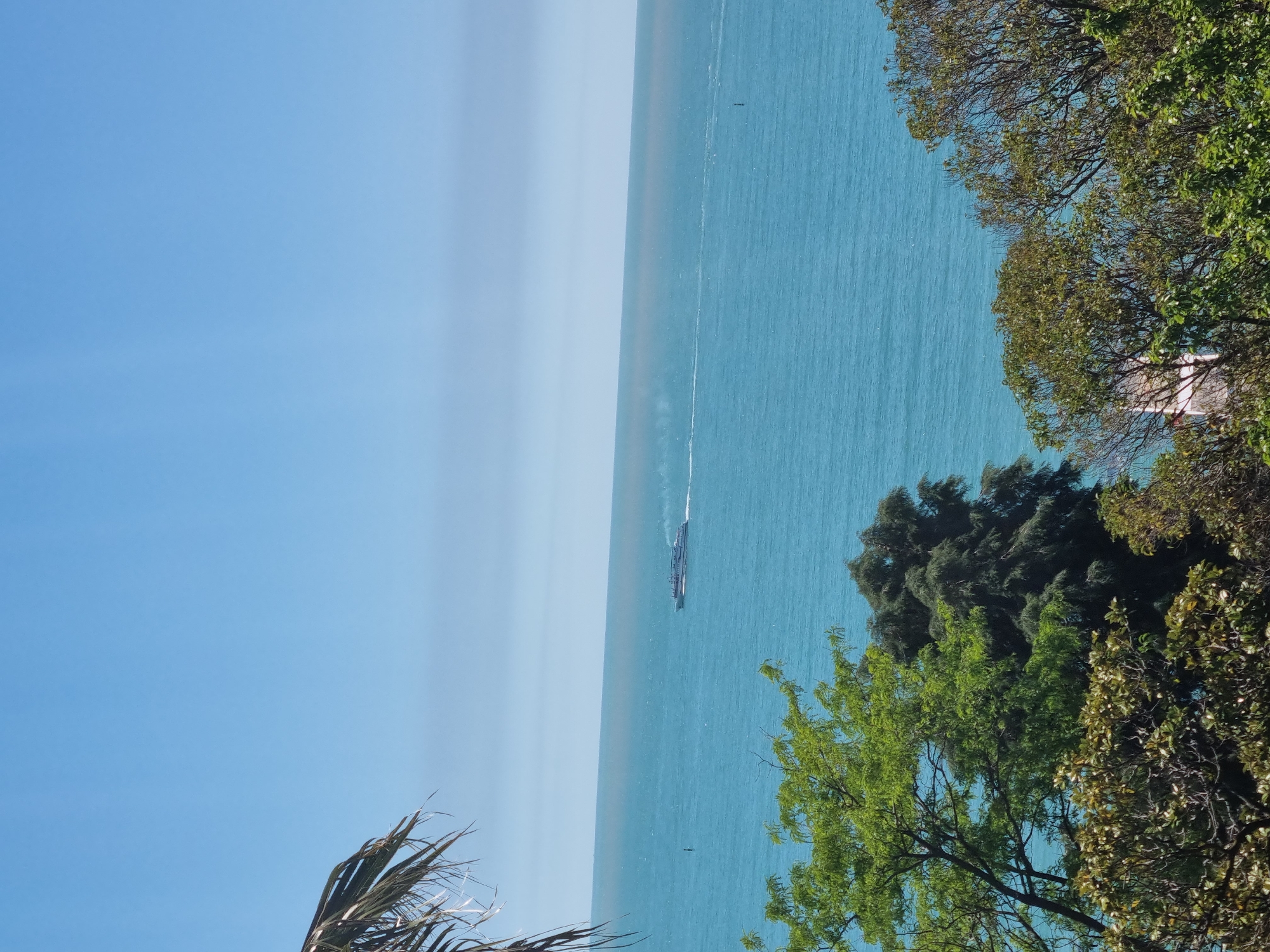 This image presents a serene coastal landscape in Sochi, Russia, viewed under a bright, clear sky. The scene is dominated by a vast expanse of calm, turquoise-blue sea that stretches across the middle of the frame, meeting a clear, light blue sky at the horizon line.
In the mid-ground of the sea, a large, dark-hulled ship, possibly a ferry or cruise ship, is prominently visible, moving from left to right. It leaves a distinct, long white wake trailing behind it on the water's surface. Further out on the water, two smaller, dark objects, likely buoys, are also visible.
Lush green foliage, comprising various trees with dense leaves and some visible branches, frames the right side of the image, partially obscuring the sea and sky. A portion of a palm frond is also visible in the bottom-left corner, suggesting a tropical or subtropical coastal environment. Through the trees on the far right, a glimpse of a white structure, possibly part of a building, can be seen.
The time of day appears to be midday or early afternoon, characterized by the strong, natural light and the absence of clouds, indicating sunny weather. The sea surface is relatively calm, with only gentle ripples. No people or visible text are present in the image, contributing to the tranquil and natural feel of the coastal vista.